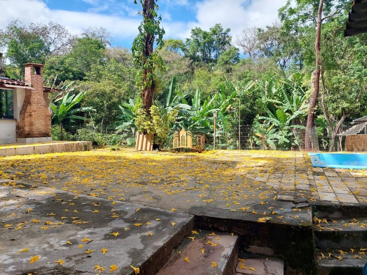 Sítio, 8 quartos, 5635 m² - Foto 16