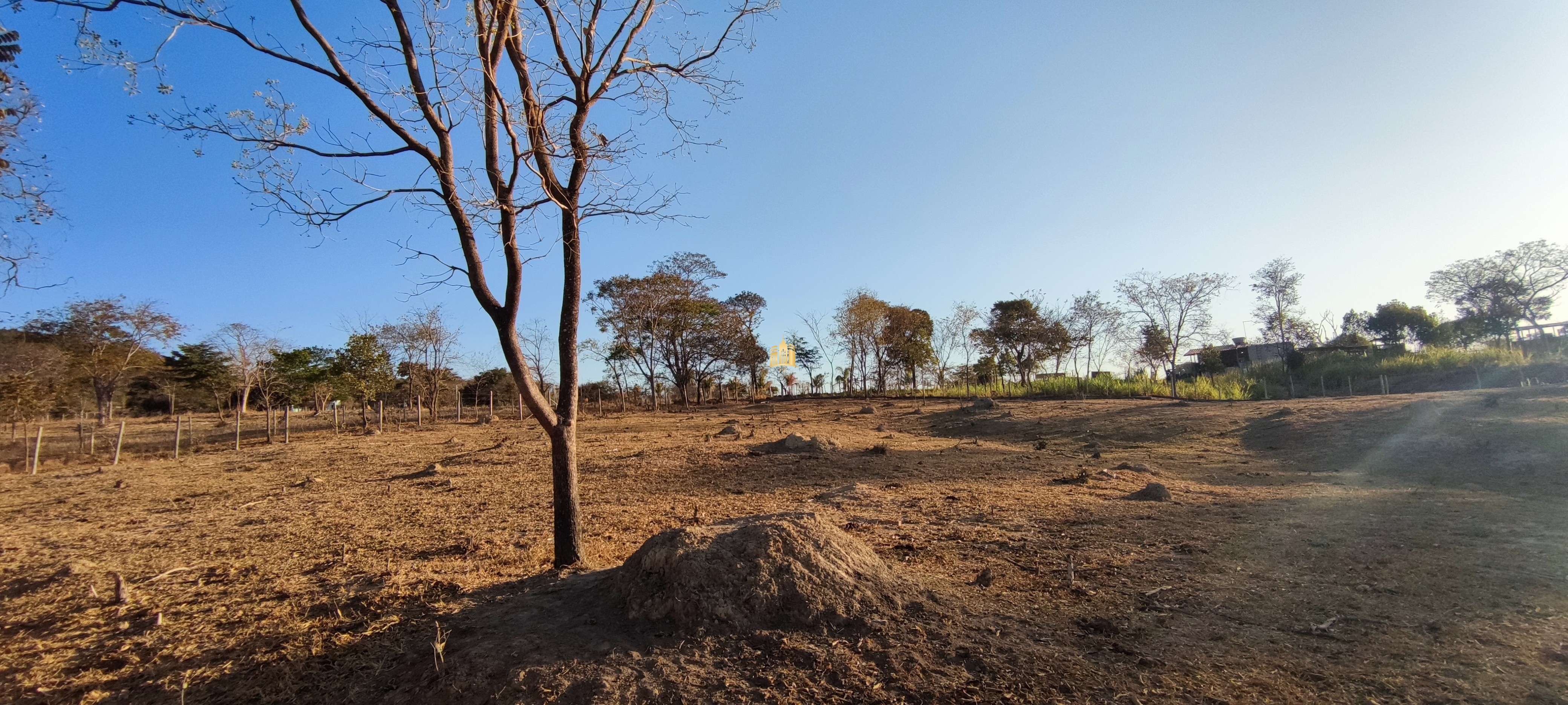 Terreno à venda, 3000m² - Foto 5