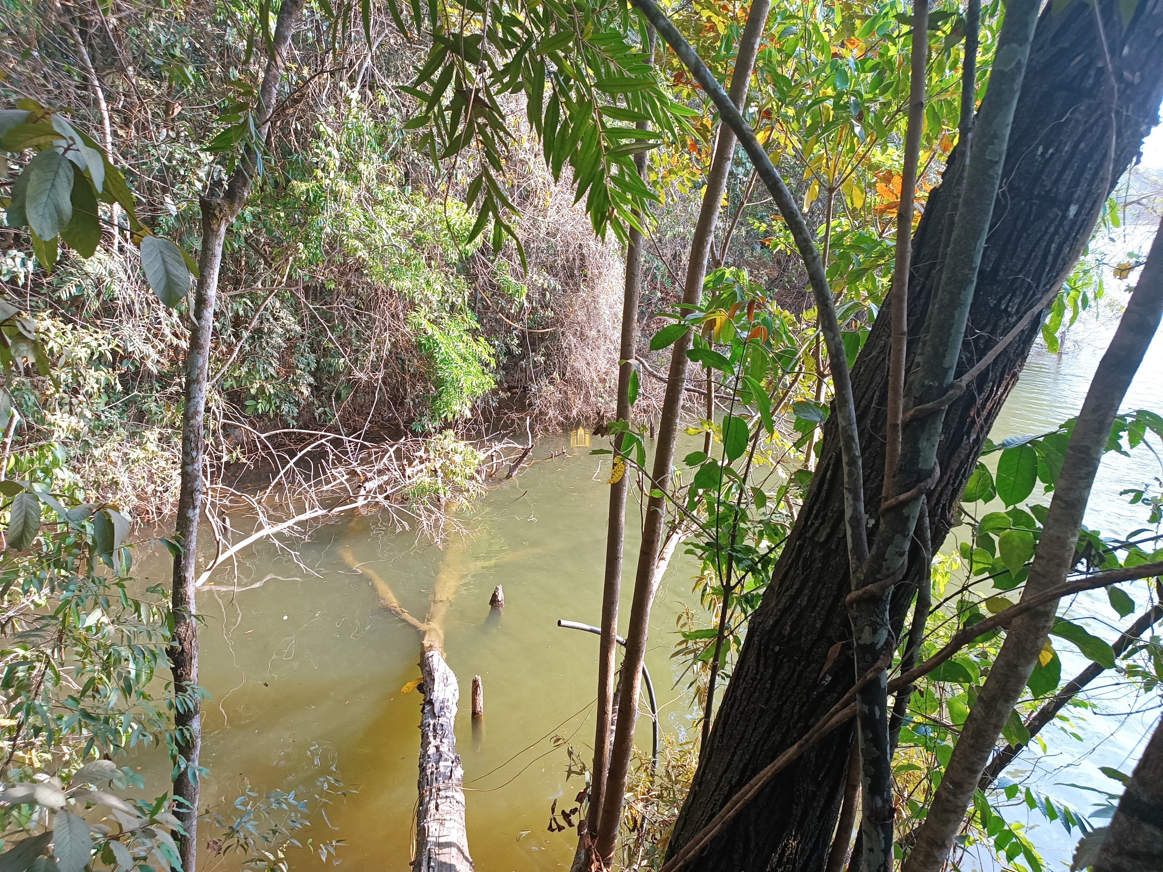 Sítio, 6 quartos, 7000 m² - Foto 96