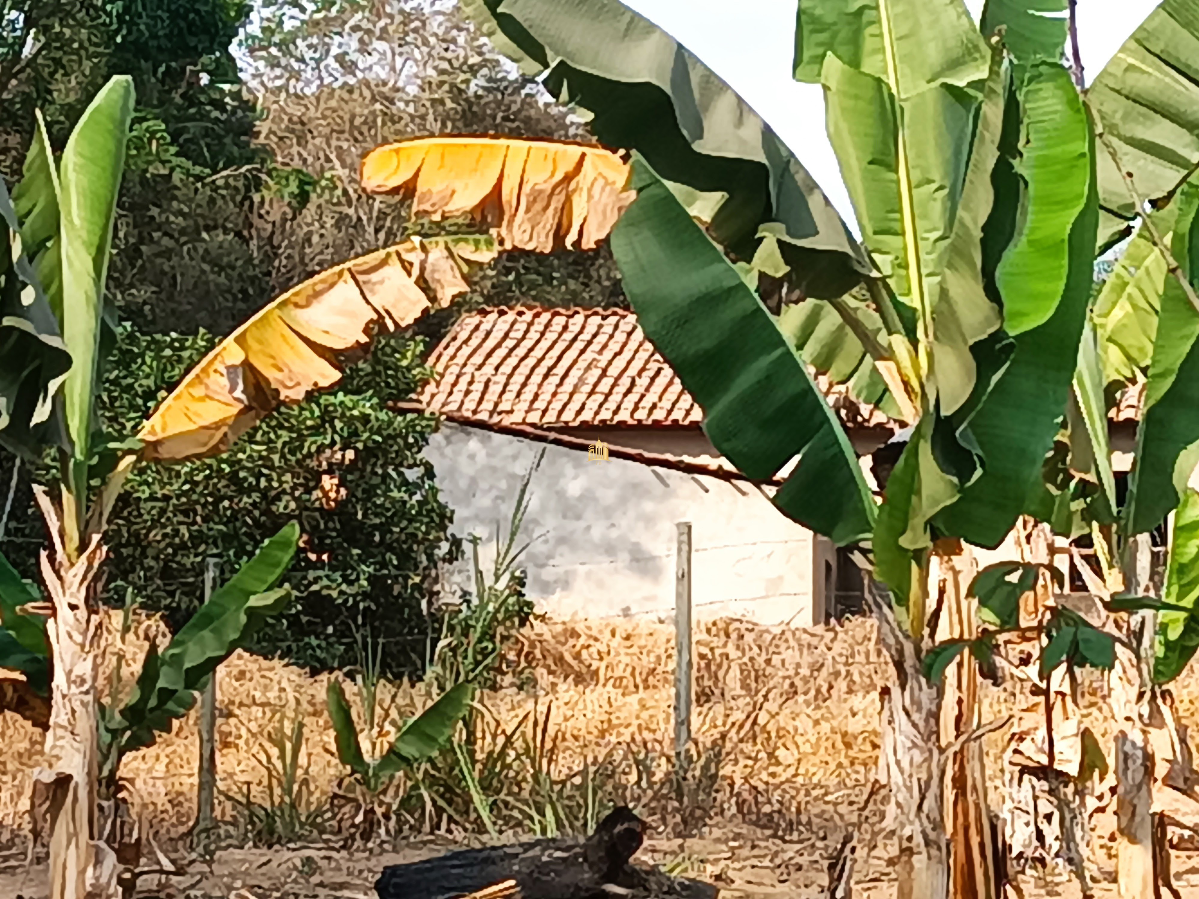 Sítio, 6 quartos, 7000 m² - Foto 79