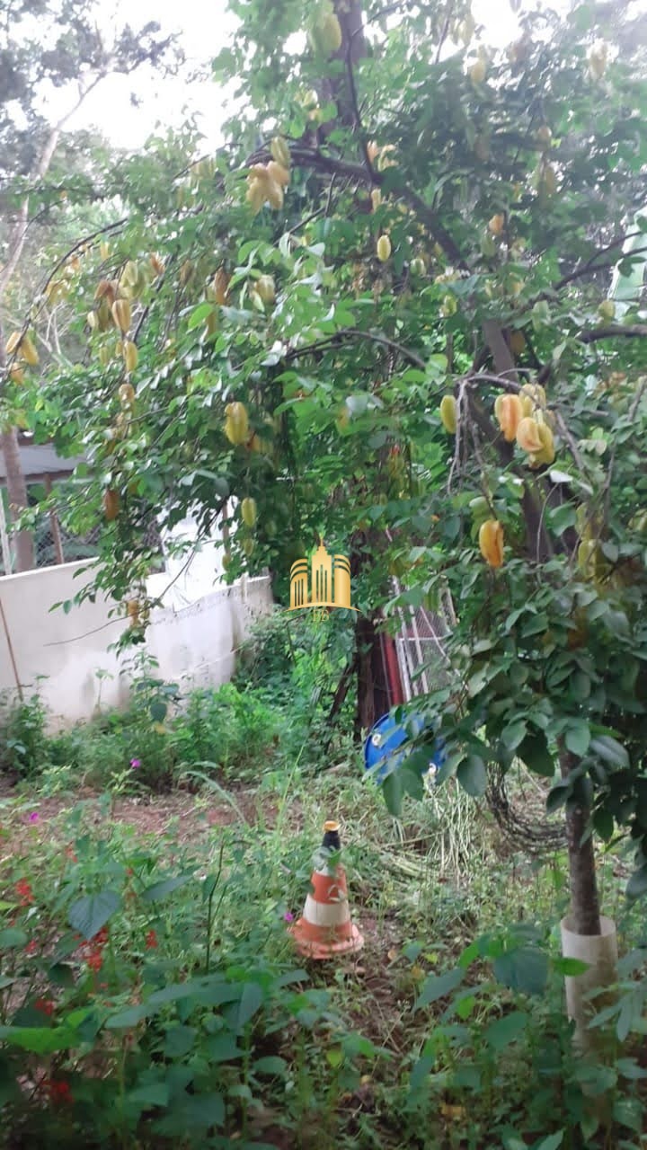 Sítio, 8 quartos, 5635 m² - Foto 39