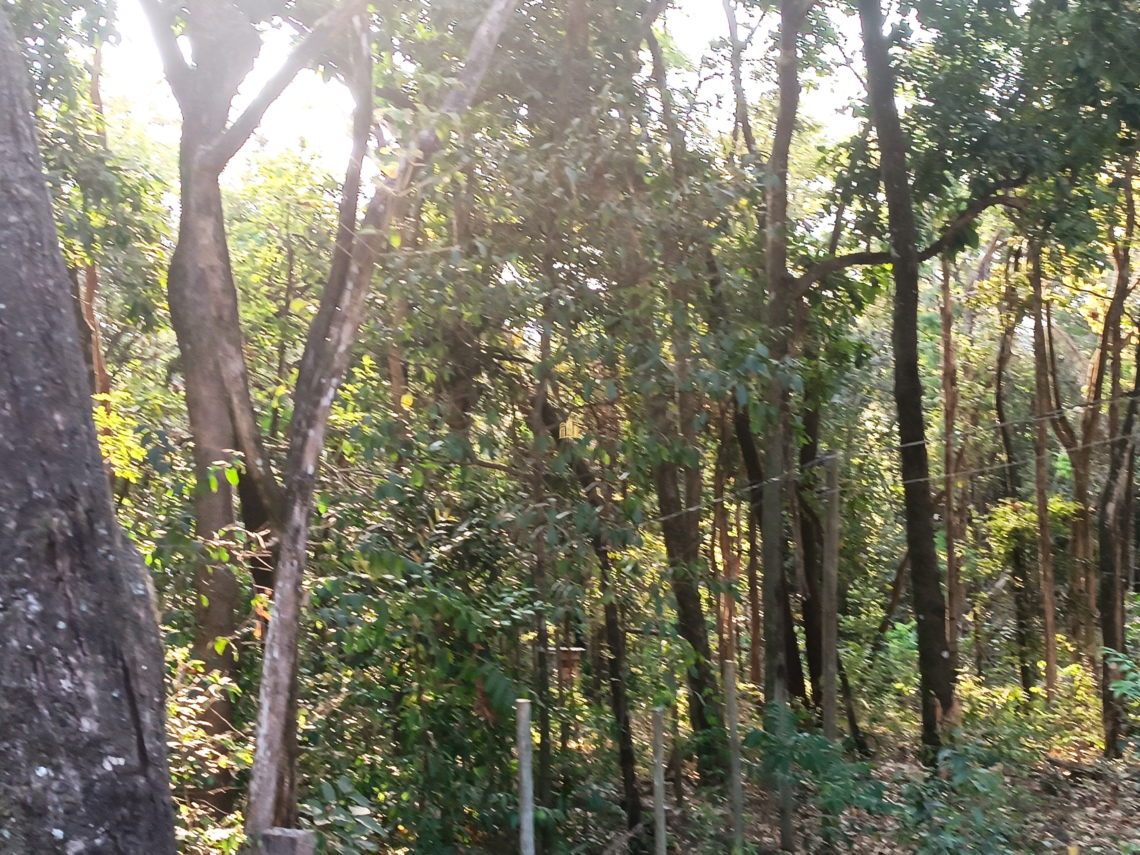 Sítio, 6 quartos, 7000 m² - Foto 82