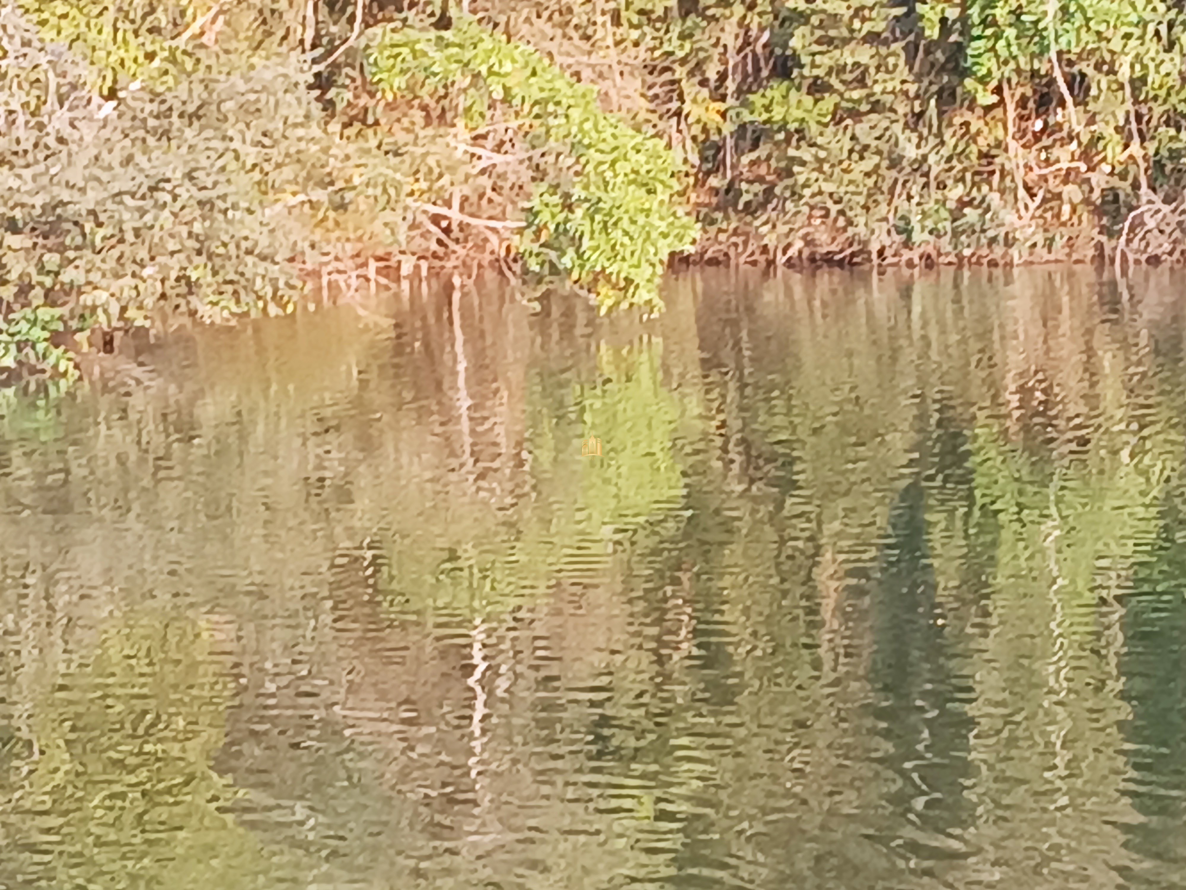 Sítio, 6 quartos, 7000 m² - Foto 2