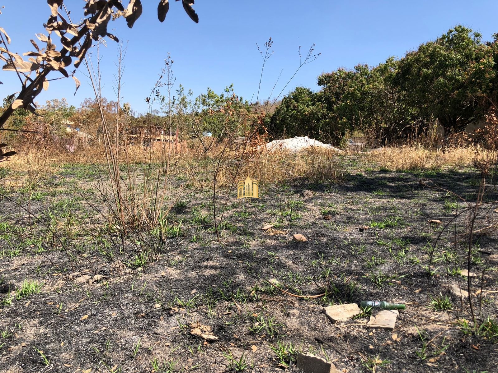 Terreno à venda, 1000m² - Foto 6