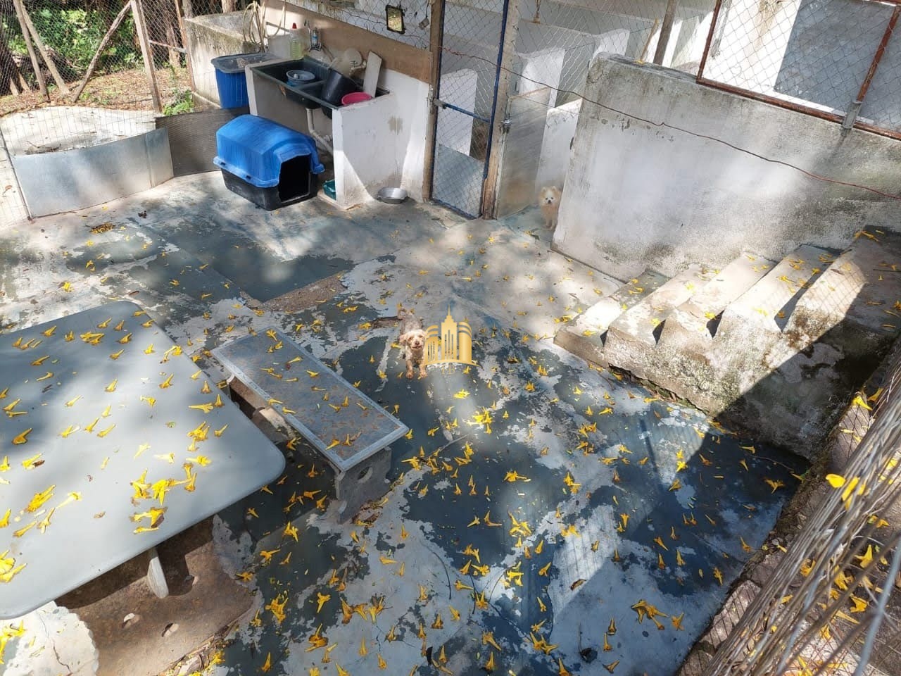 Sítio, 8 quartos, 5635 m² - Foto 19