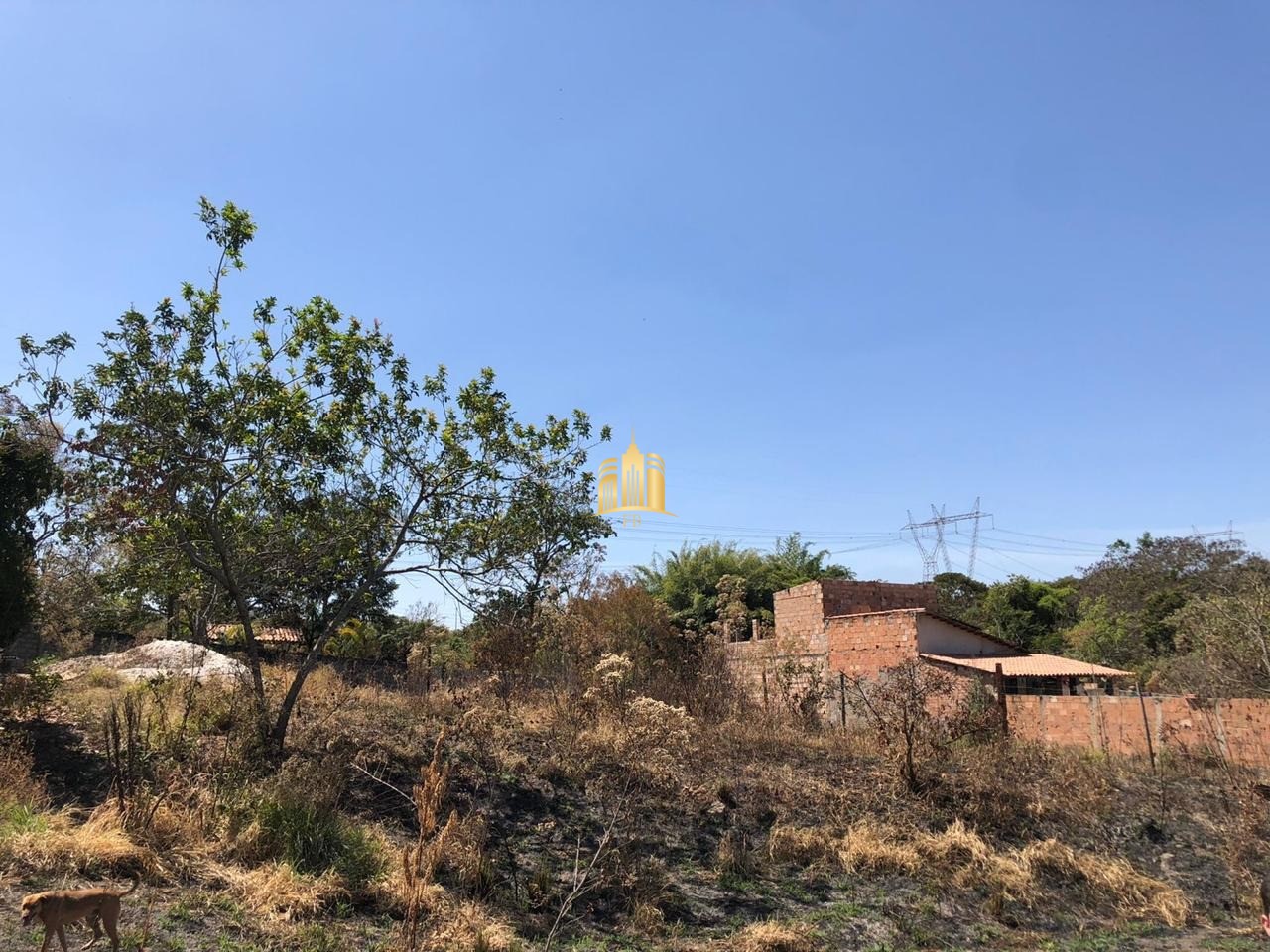 Terreno à venda, 1000m² - Foto 12