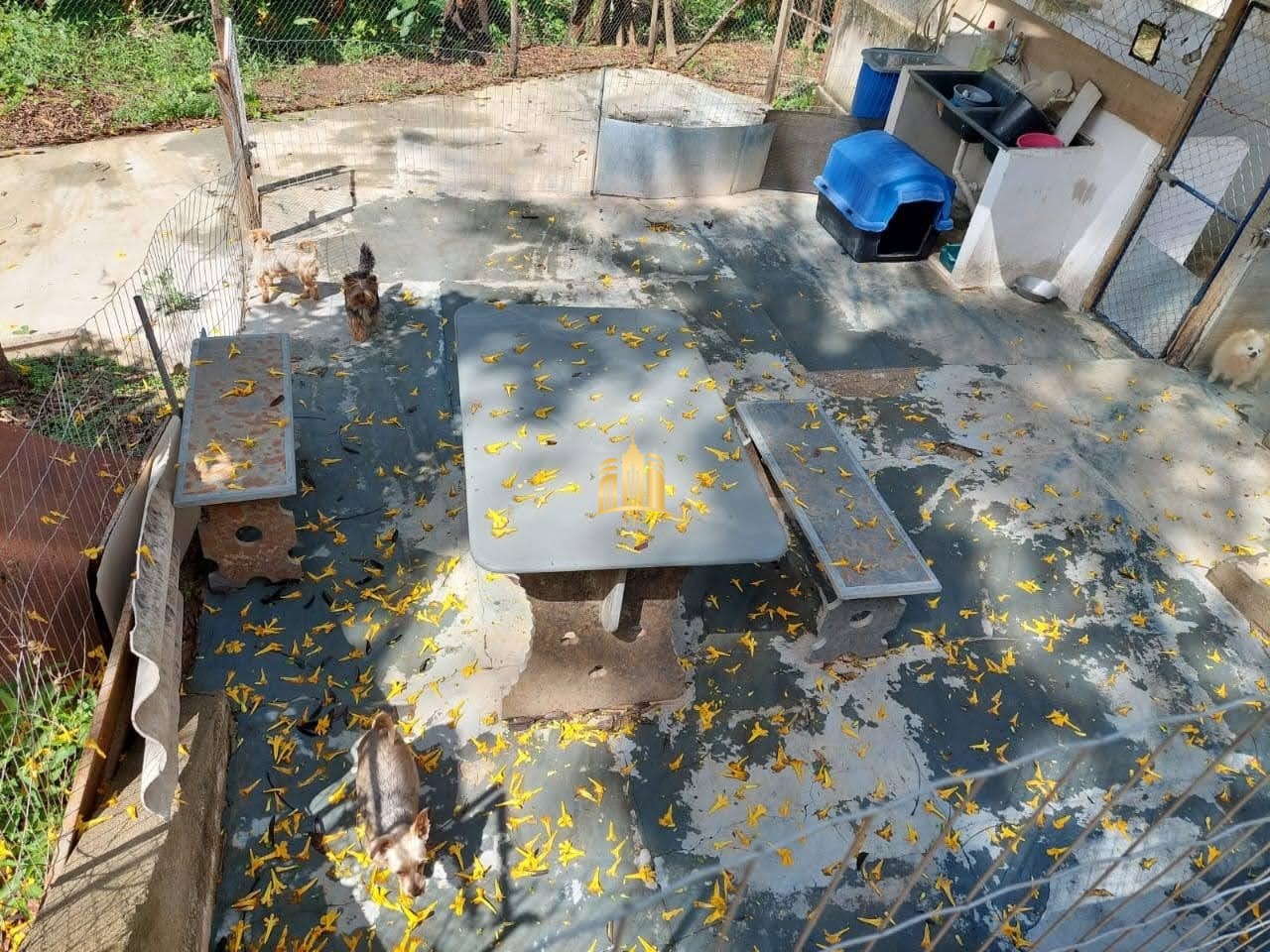 Sítio, 8 quartos, 5635 m² - Foto 13