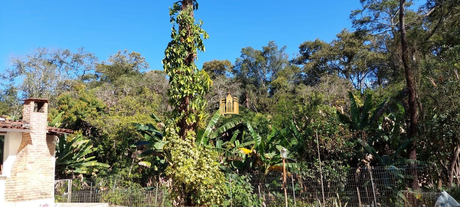 Sítio, 8 quartos, 5635 m² - Foto 28