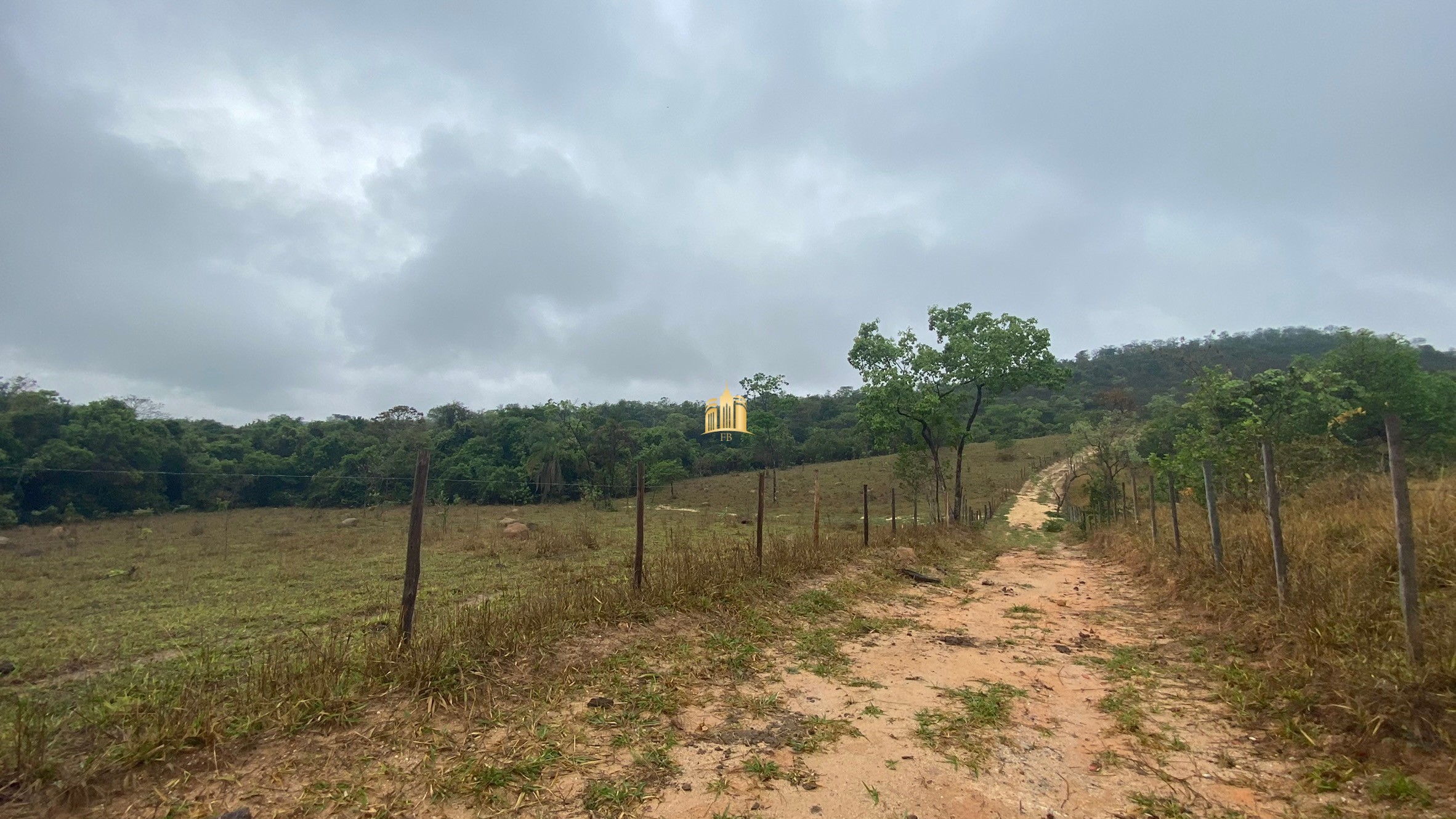 Fazenda à venda com 3 quartos, 800000m² - Foto 120