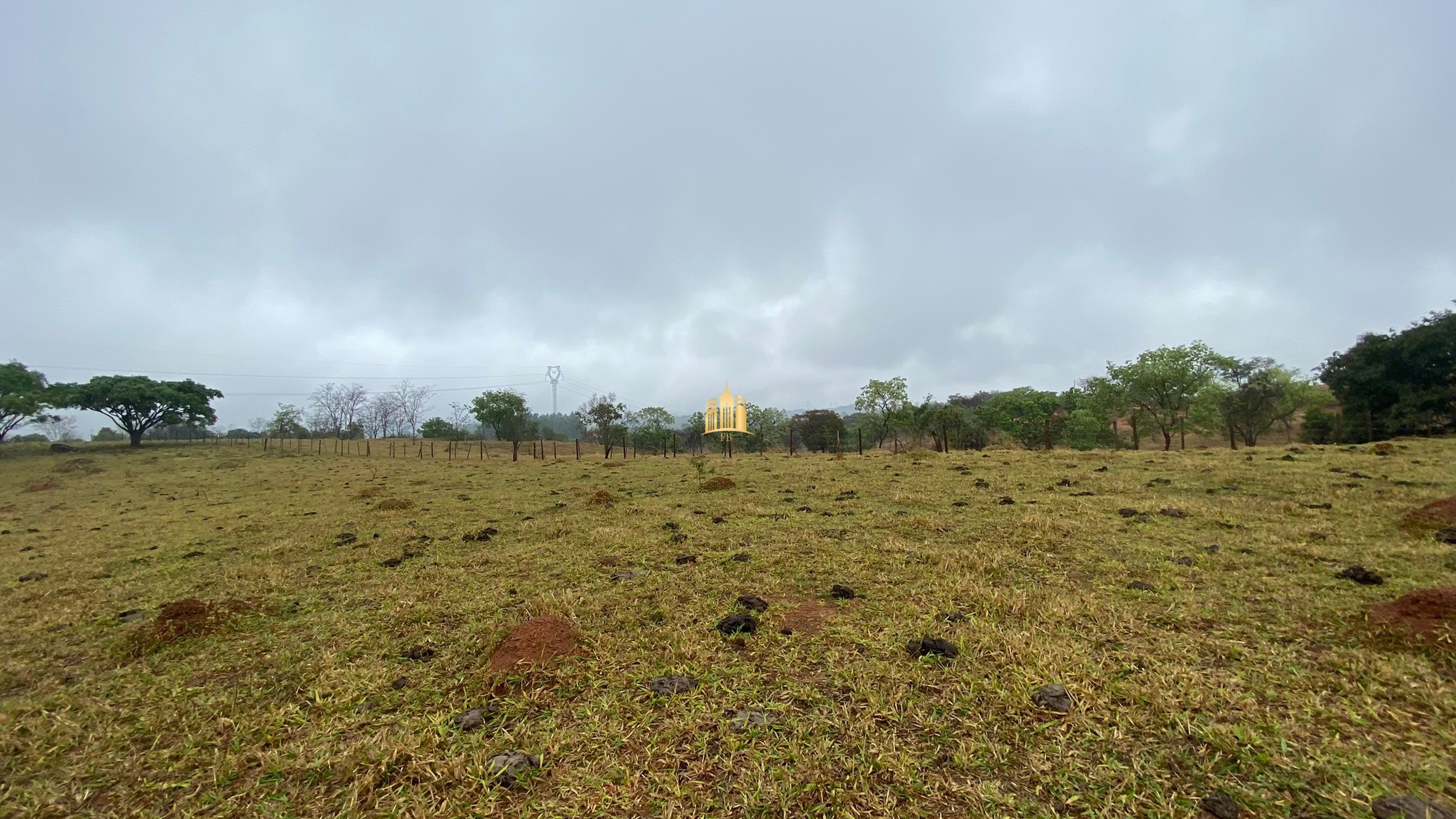 Fazenda à venda com 3 quartos, 800000m² - Foto 76