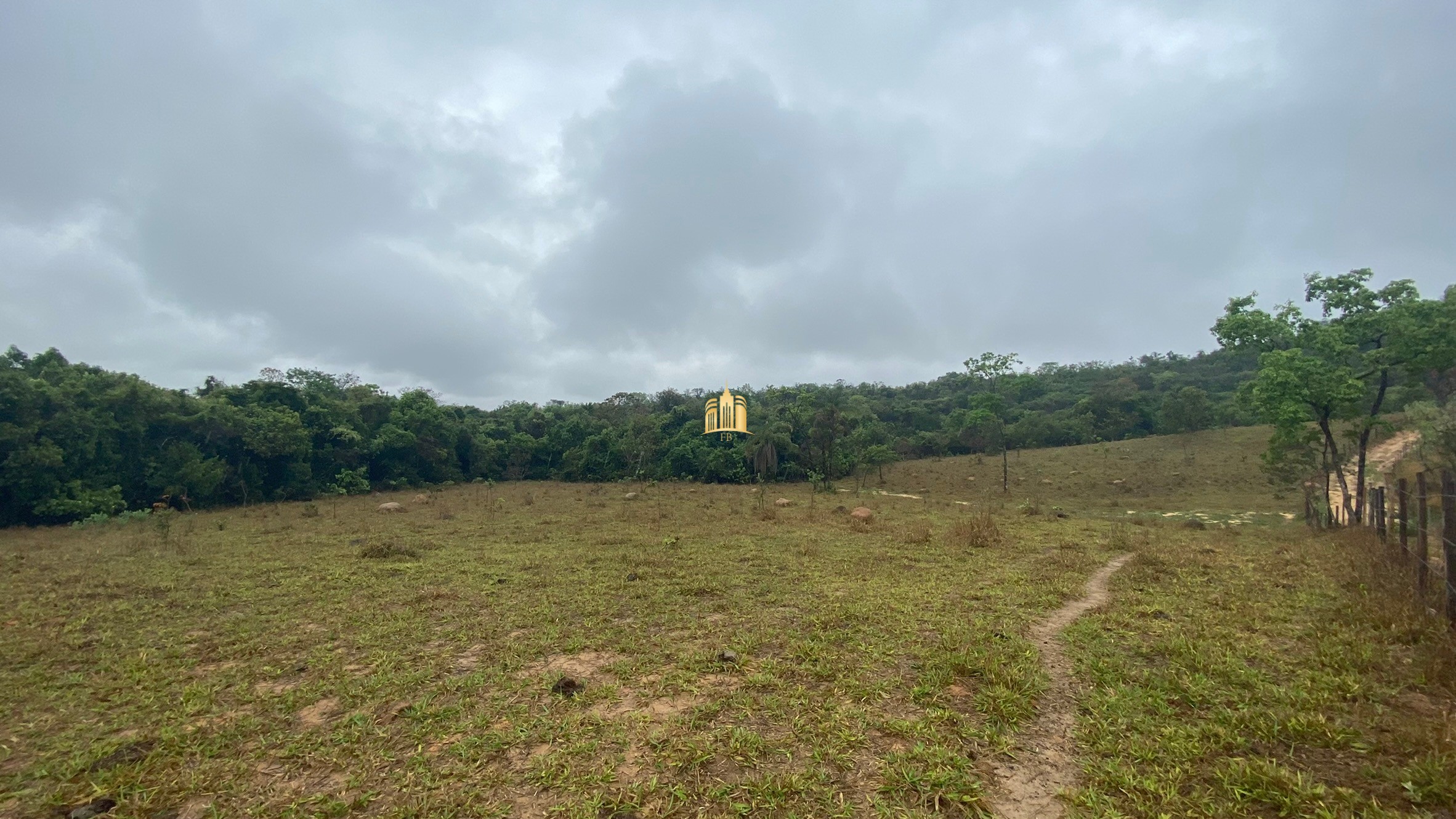 Fazenda à venda com 3 quartos, 800000m² - Foto 96