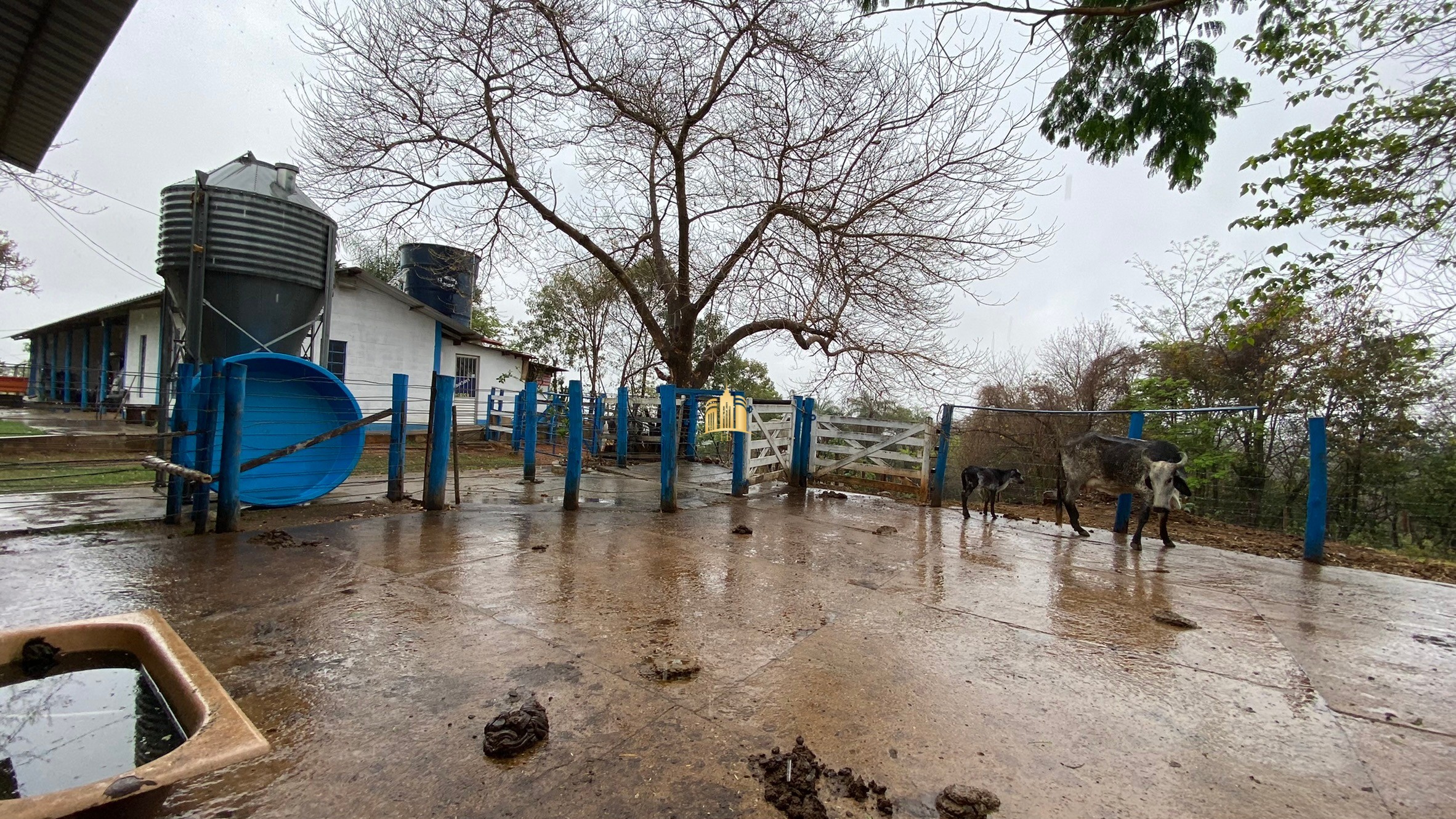 Fazenda à venda com 3 quartos, 800000m² - Foto 116