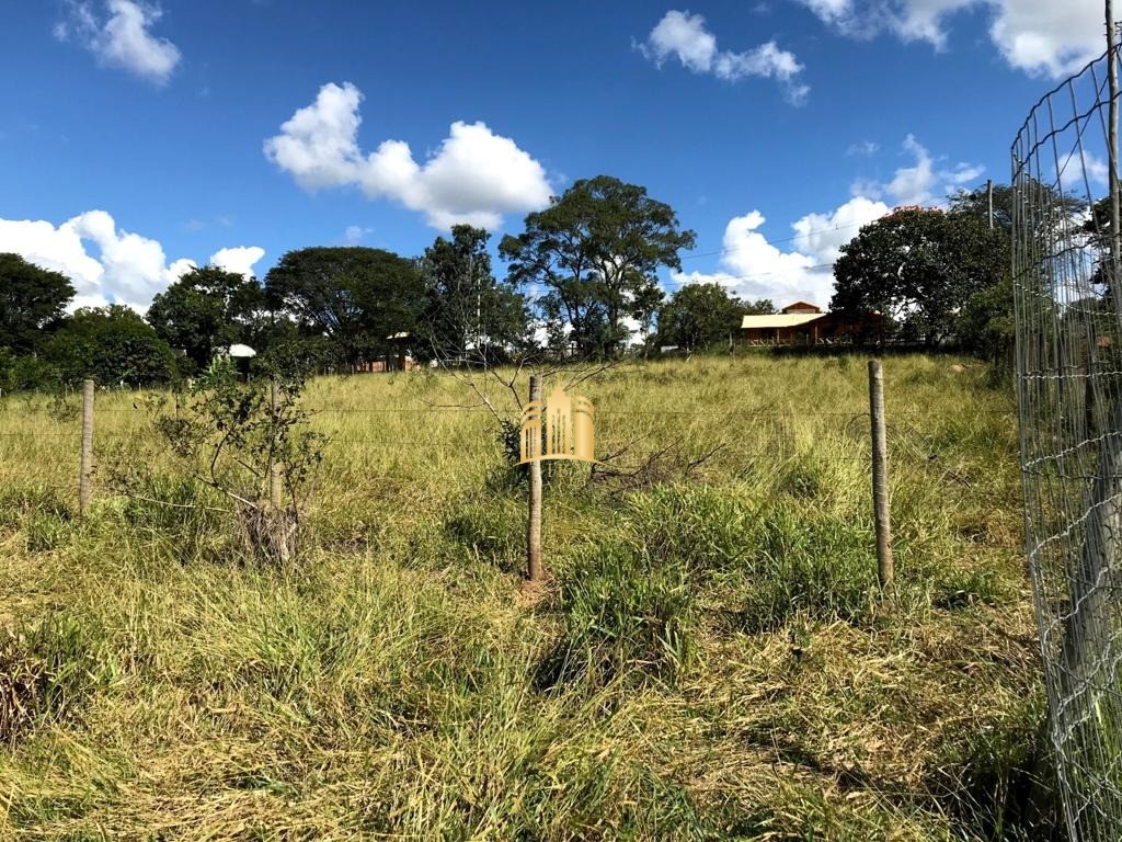 Terreno à venda com 2 quartos, 1500m² - Foto 22