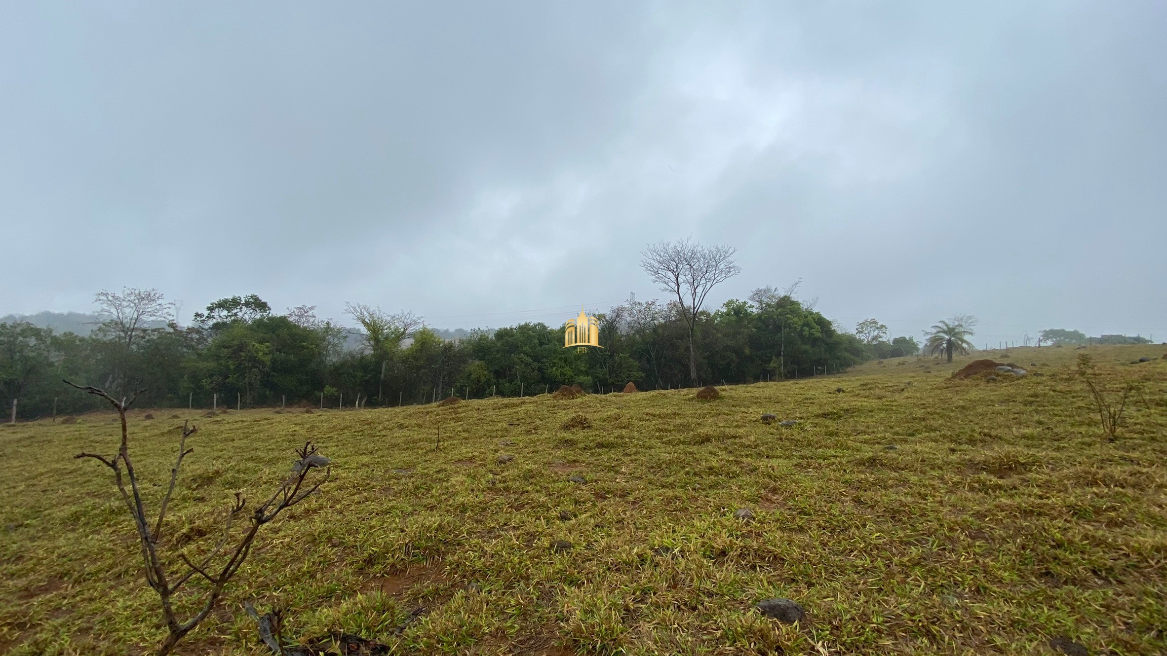 Fazenda à venda com 3 quartos, 800000m² - Foto 56