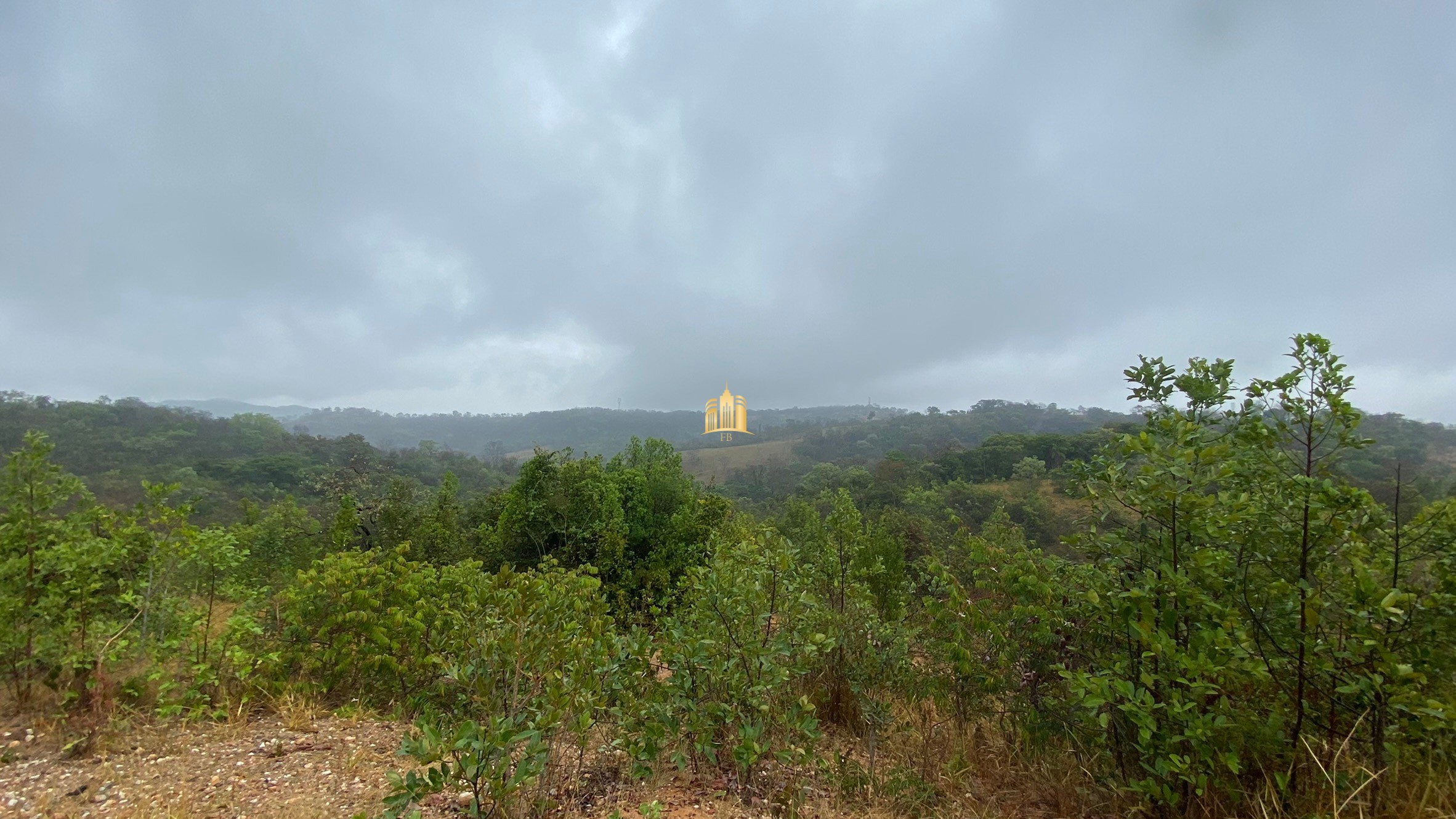 Fazenda à venda com 3 quartos, 800000m² - Foto 71