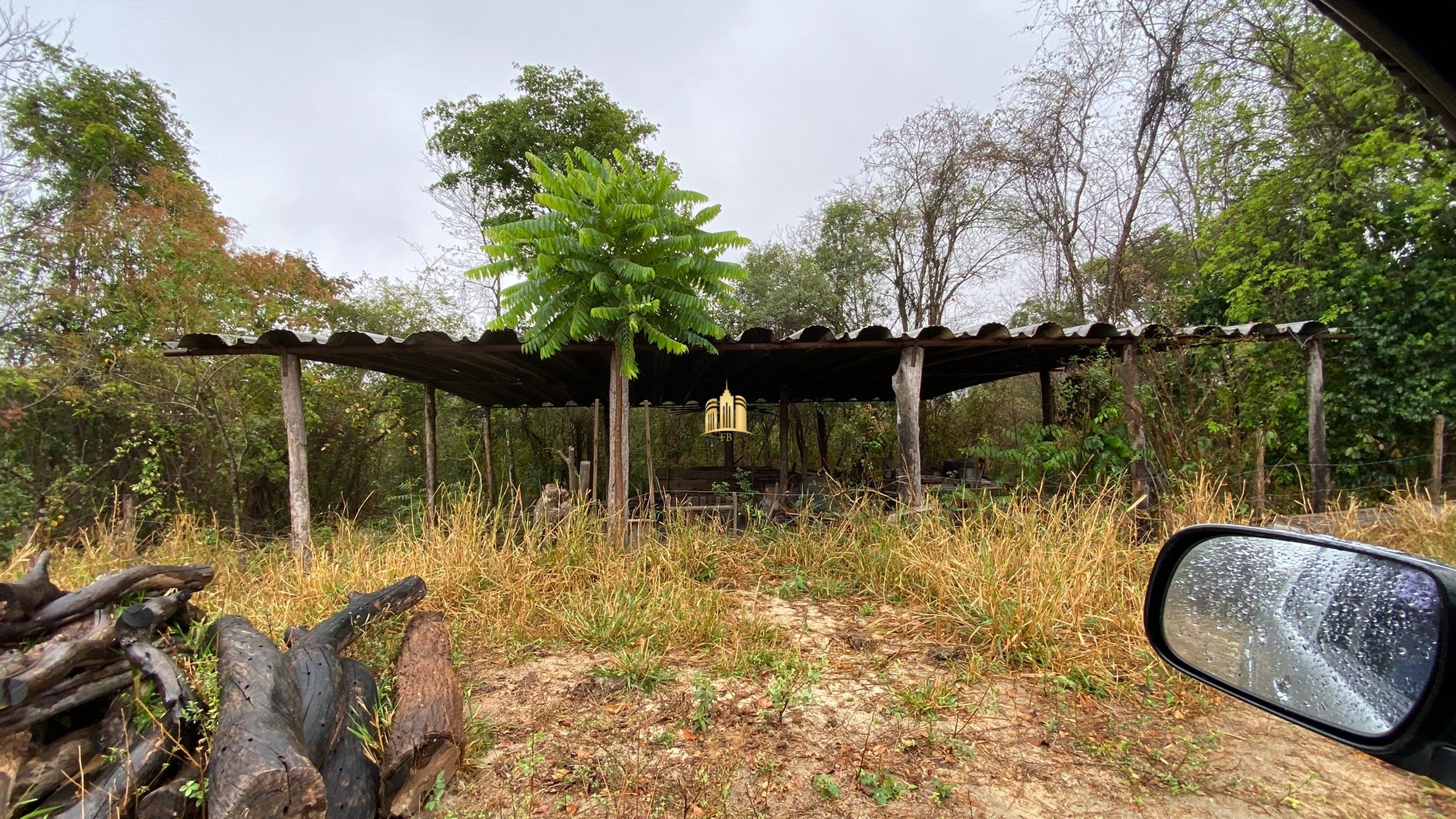 Fazenda à venda com 3 quartos, 800000m² - Foto 8