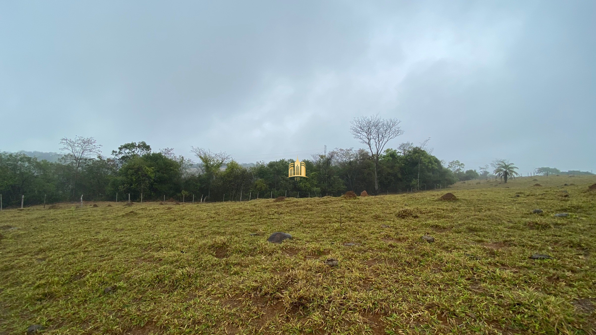 Fazenda à venda com 3 quartos, 800000m² - Foto 57