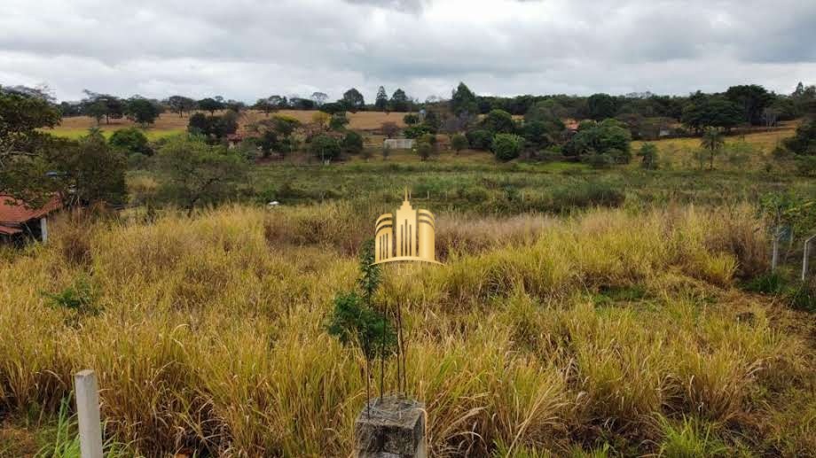 Terreno à venda, 2500m² - Foto 7