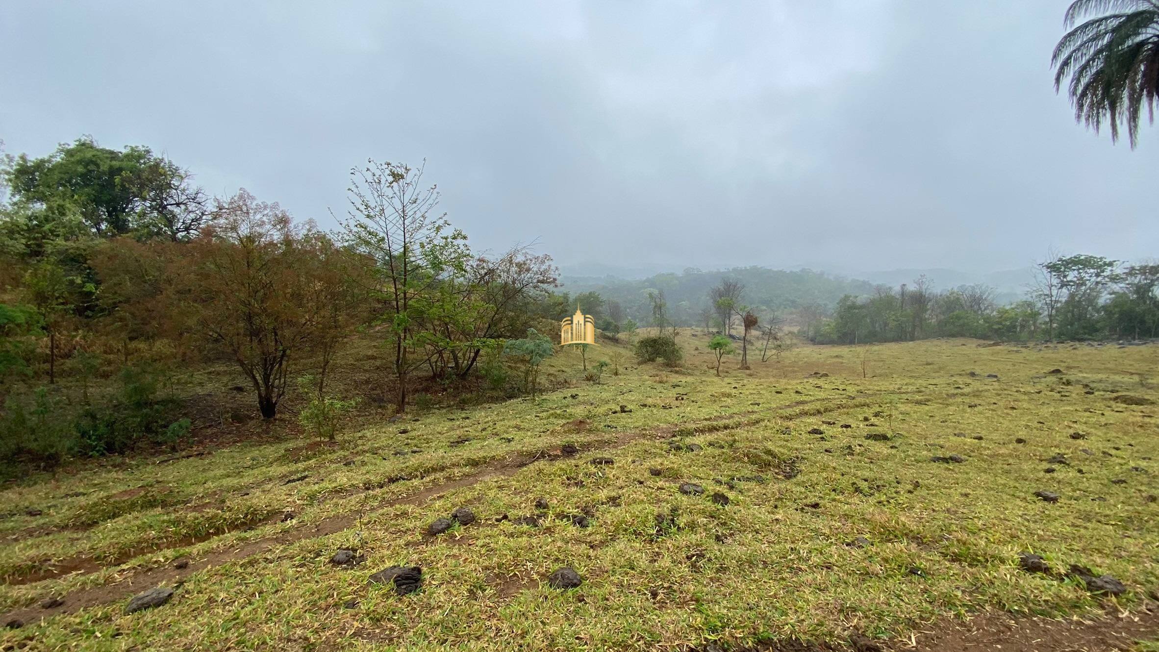 Fazenda à venda com 3 quartos, 800000m² - Foto 73