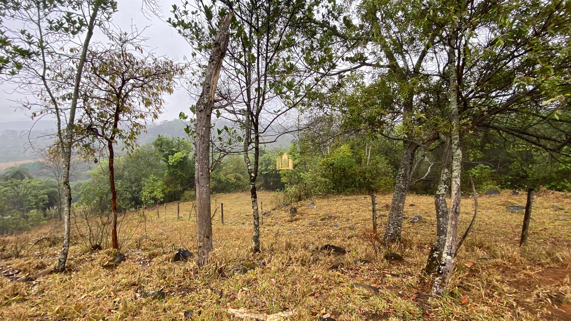 Fazenda à venda com 3 quartos, 800000m² - Foto 67