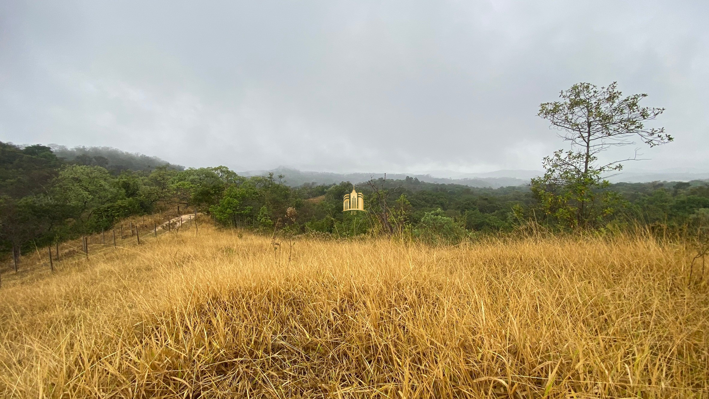 Fazenda à venda com 3 quartos, 800000m² - Foto 30