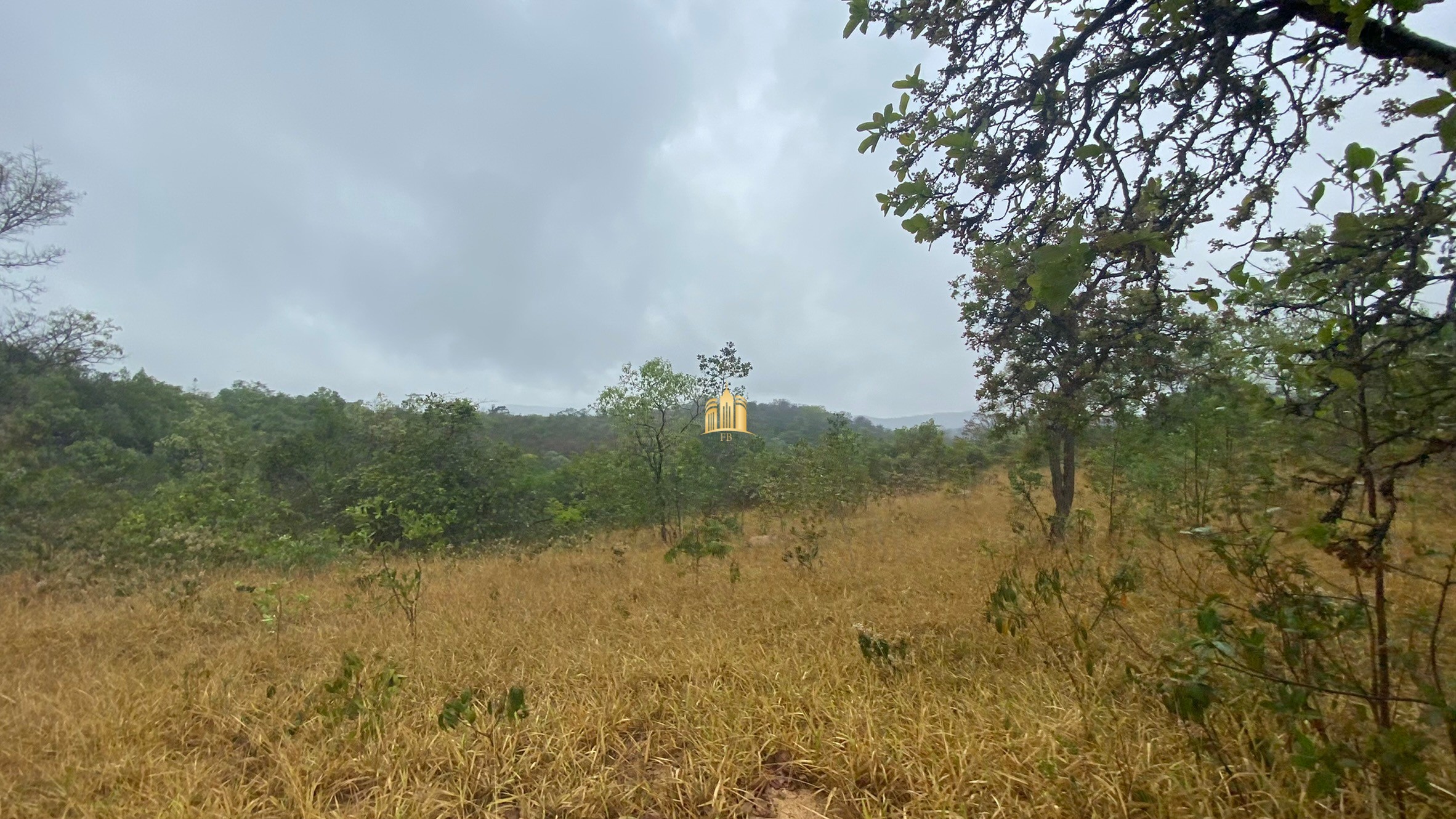 Fazenda à venda com 3 quartos, 800000m² - Foto 81