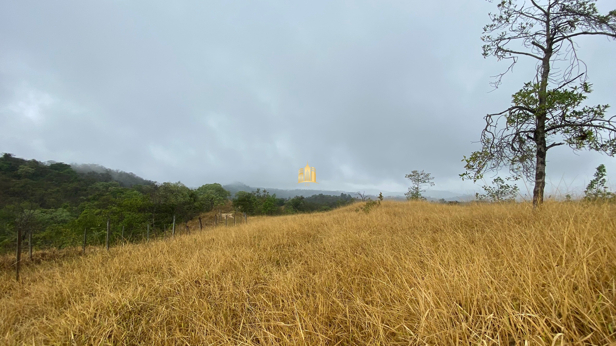 Fazenda à venda com 3 quartos, 800000m² - Foto 52