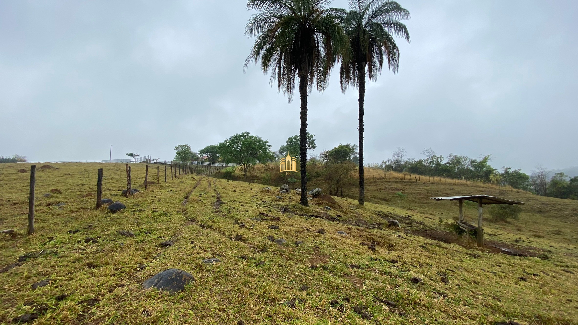 Fazenda à venda com 3 quartos, 800000m² - Foto 99