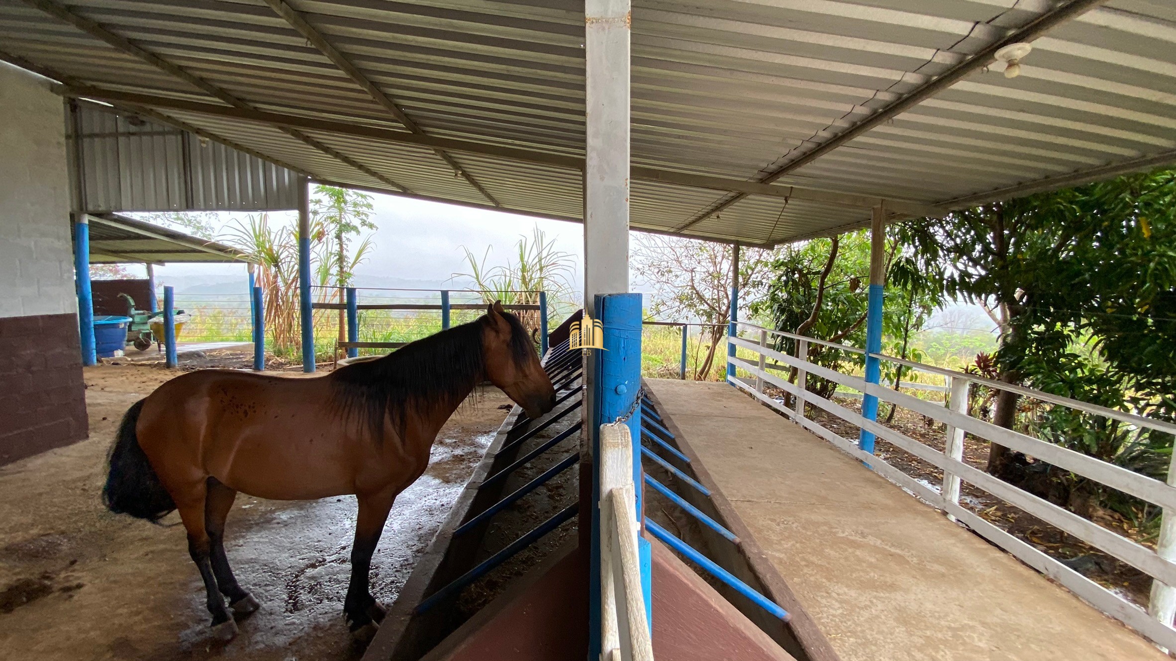 Fazenda à venda com 3 quartos, 800000m² - Foto 26