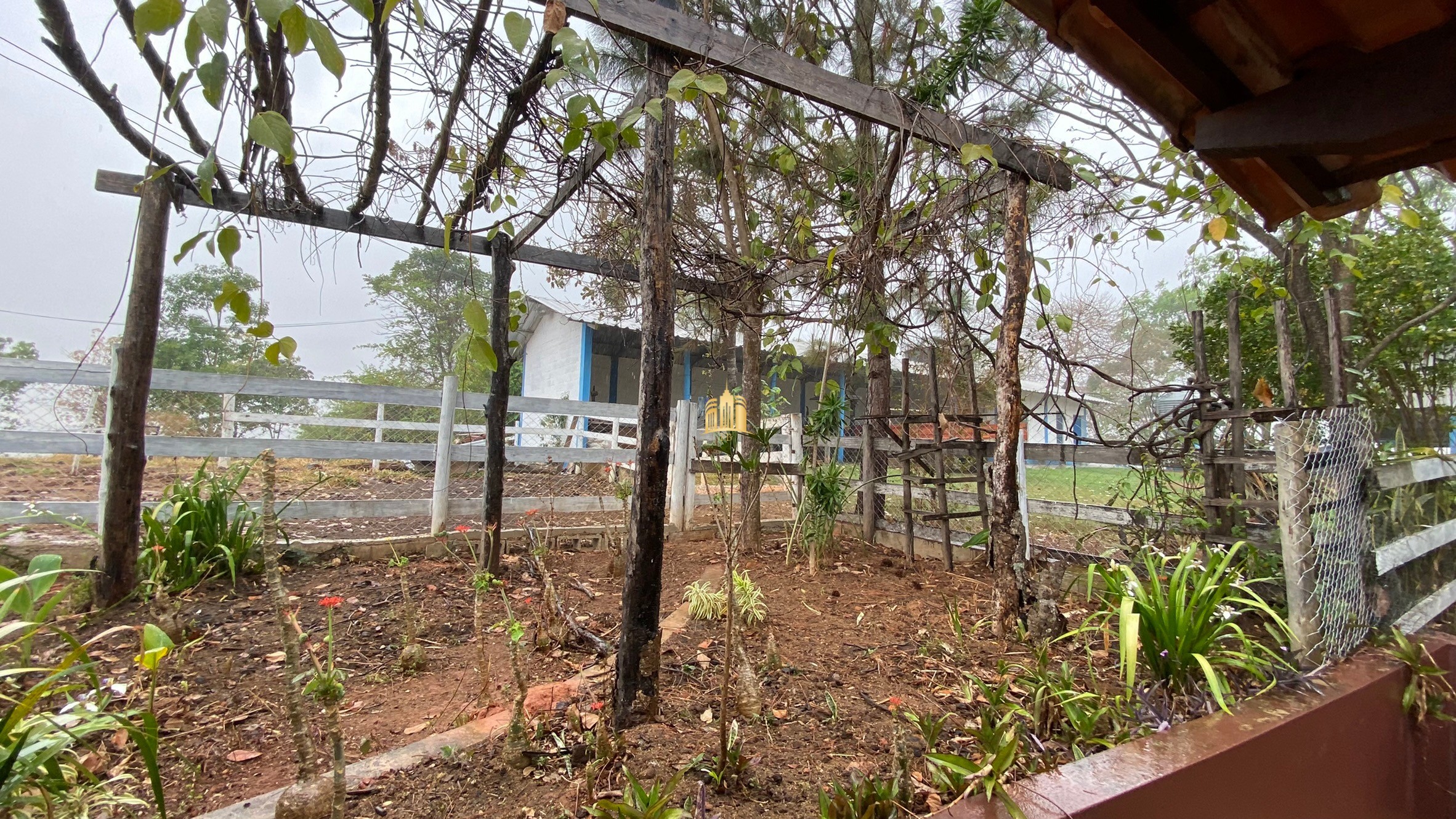 Fazenda à venda com 3 quartos, 800000m² - Foto 74