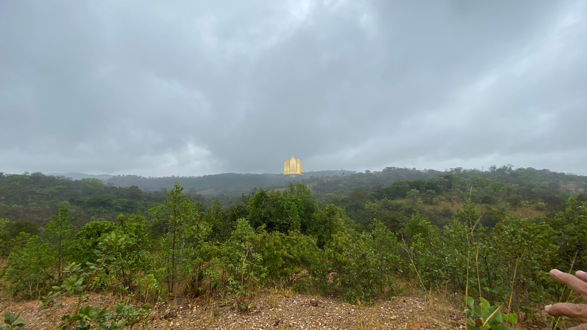 Fazenda à venda com 3 quartos, 800000m² - Foto 13