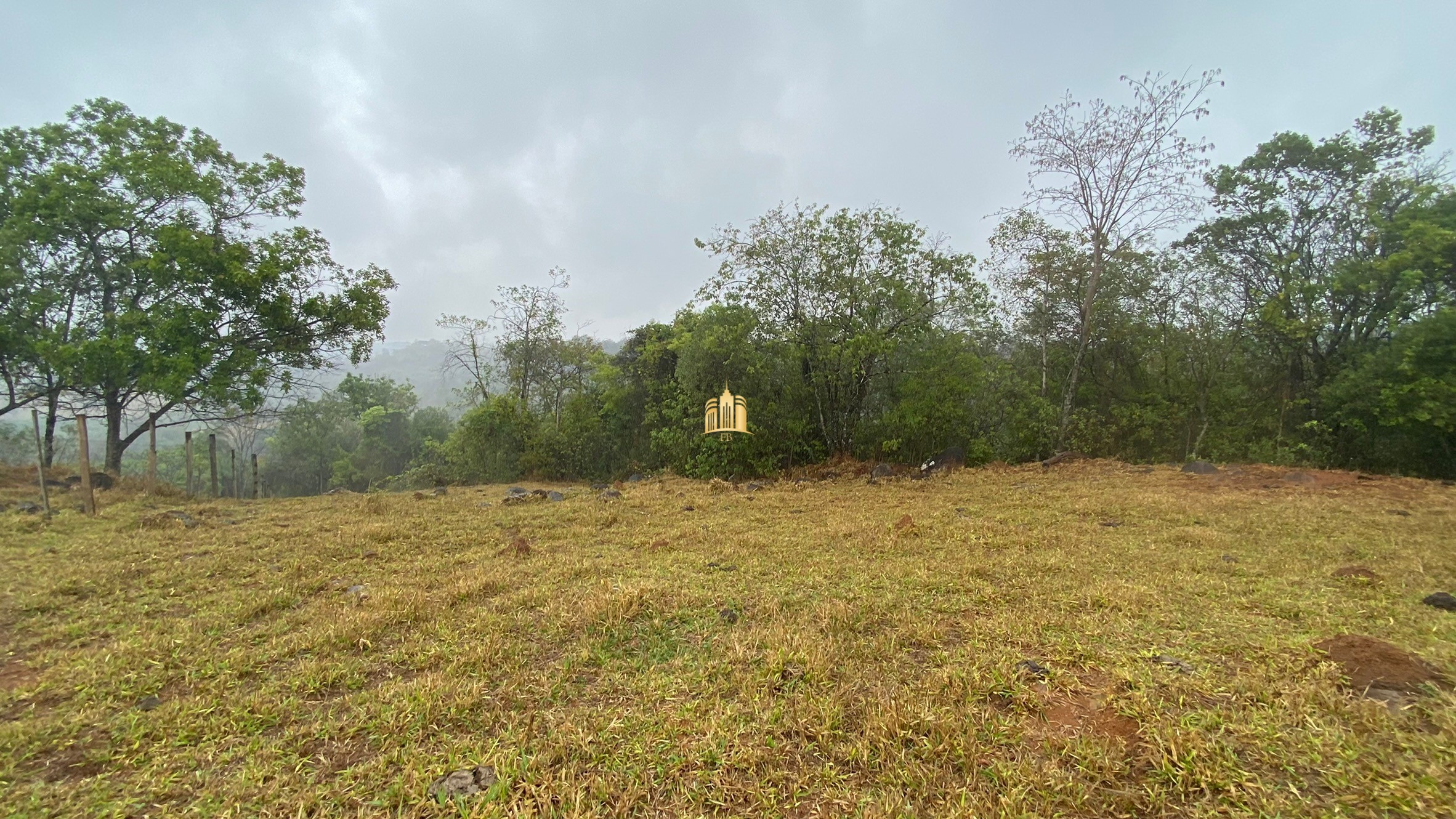 Fazenda à venda com 3 quartos, 800000m² - Foto 68