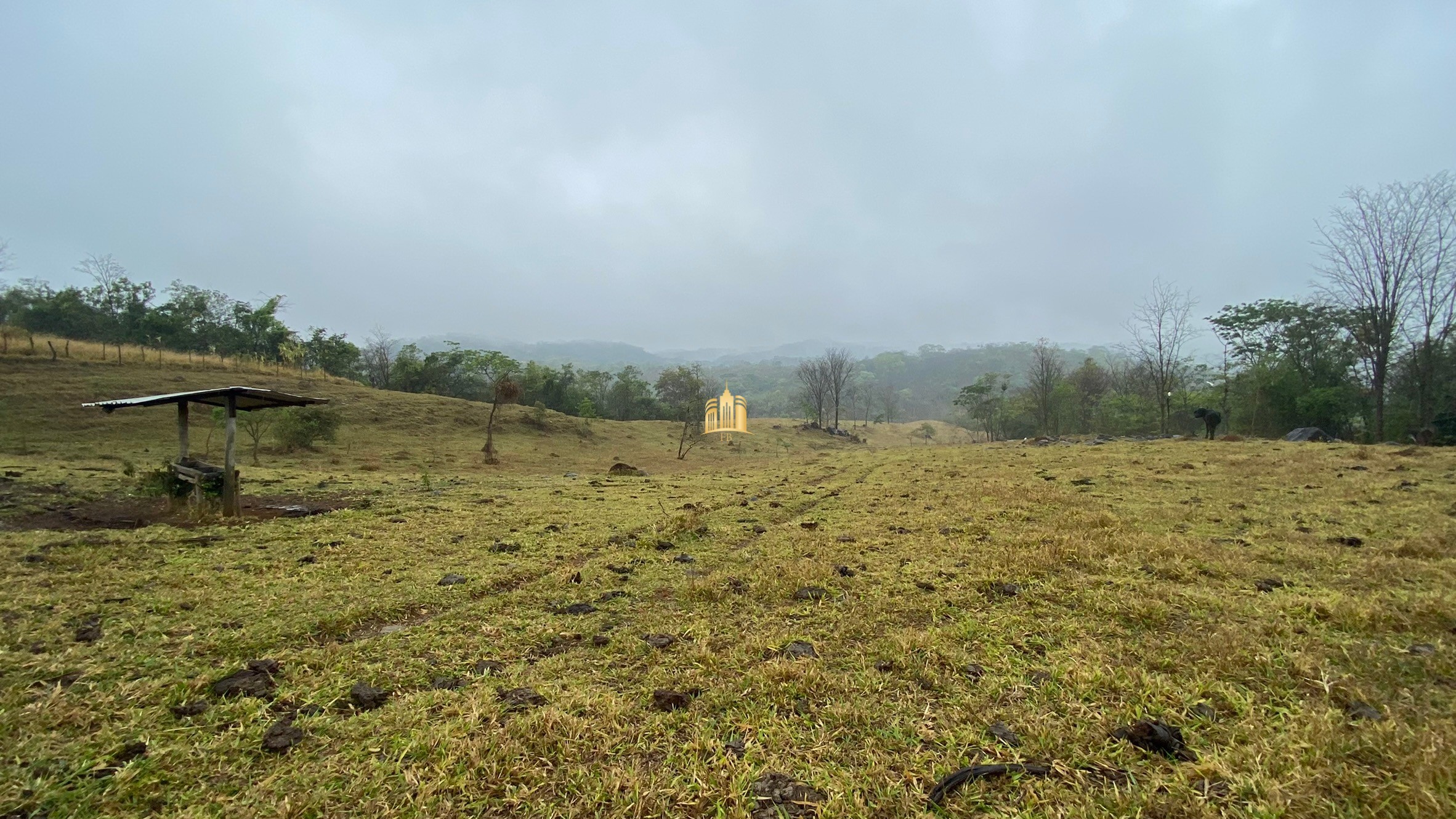 Fazenda à venda com 3 quartos, 800000m² - Foto 44