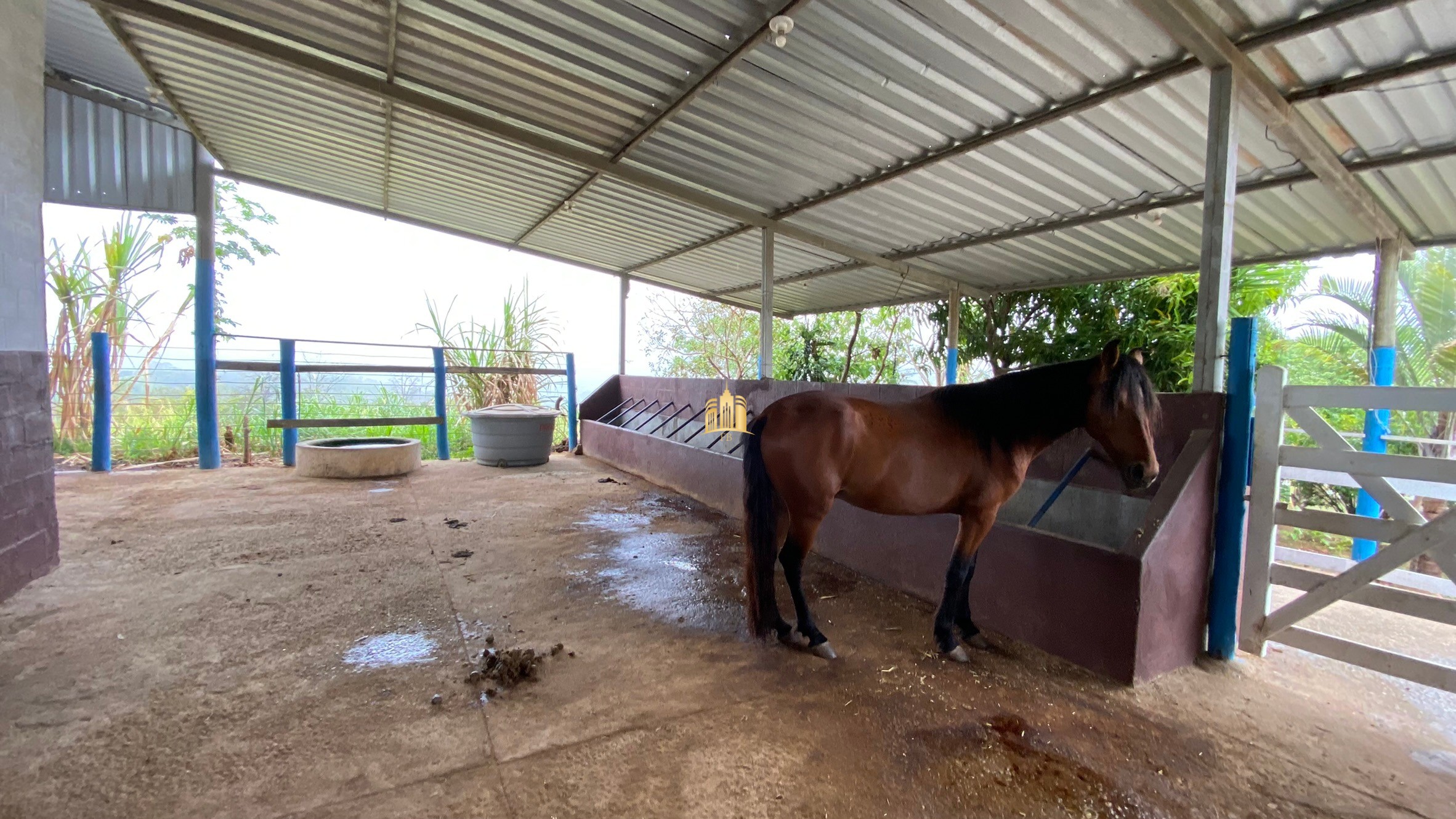 Fazenda à venda com 3 quartos, 800000m² - Foto 70