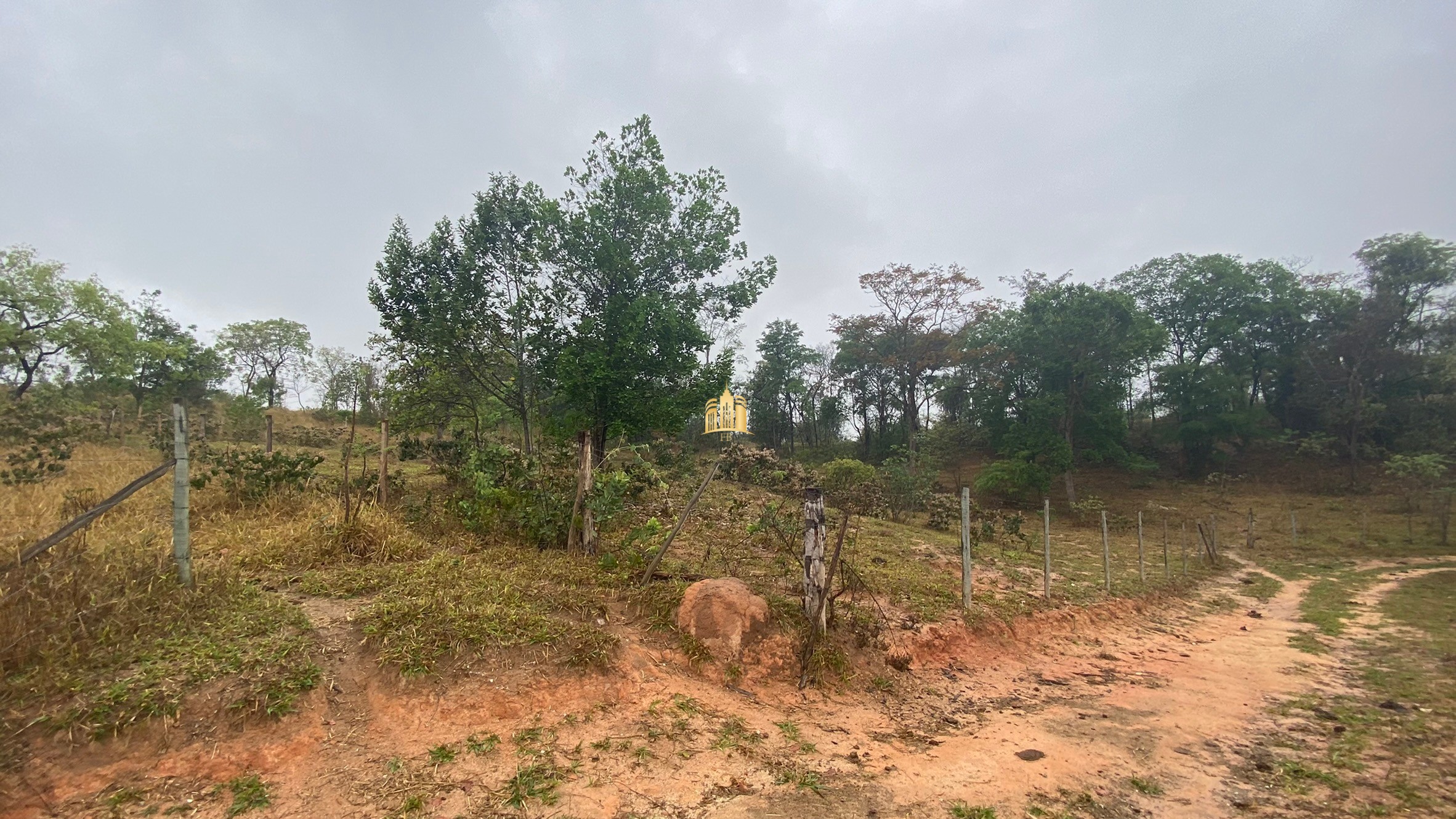 Fazenda à venda com 3 quartos, 800000m² - Foto 97