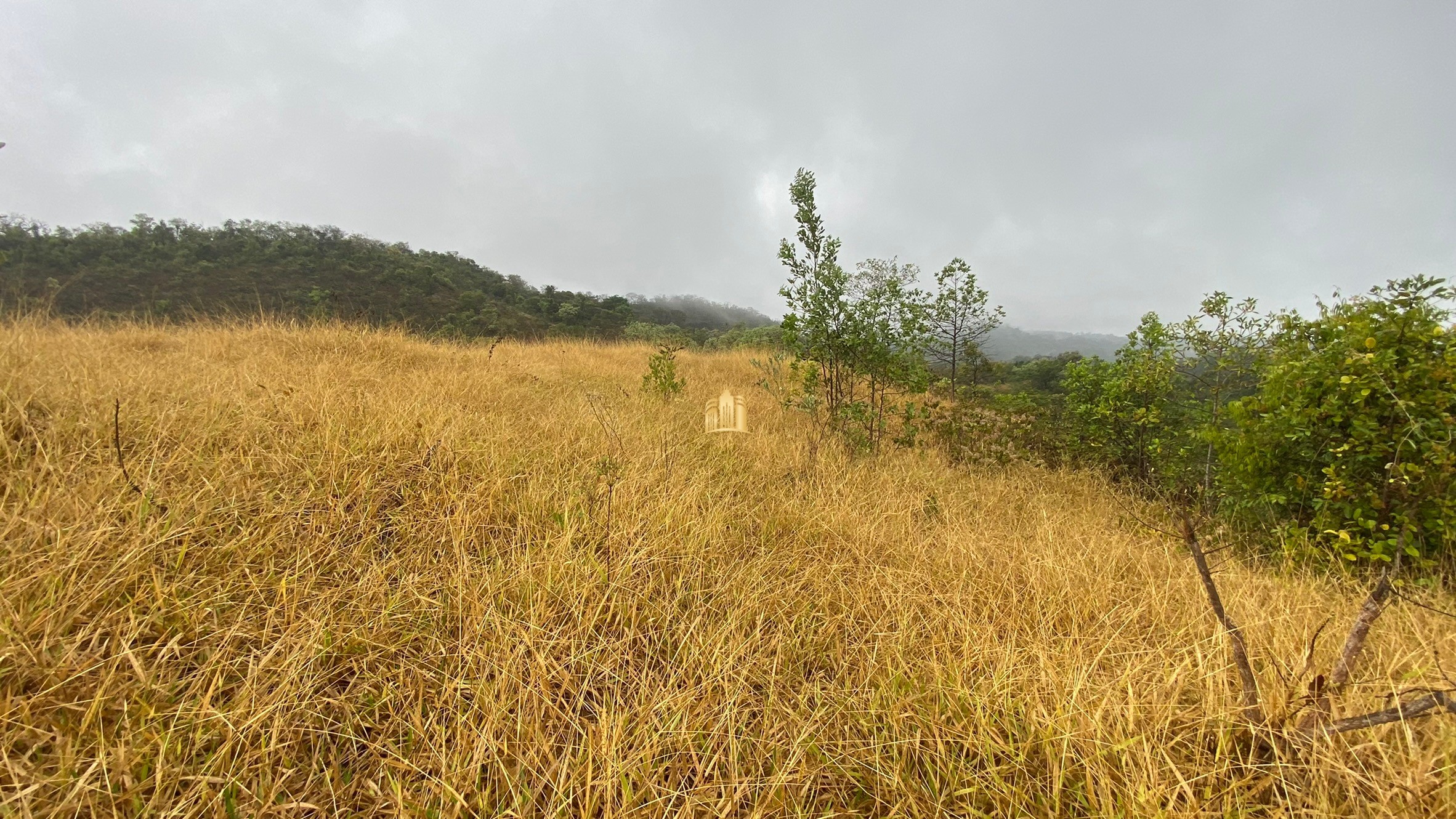 Fazenda à venda com 3 quartos, 800000m² - Foto 20