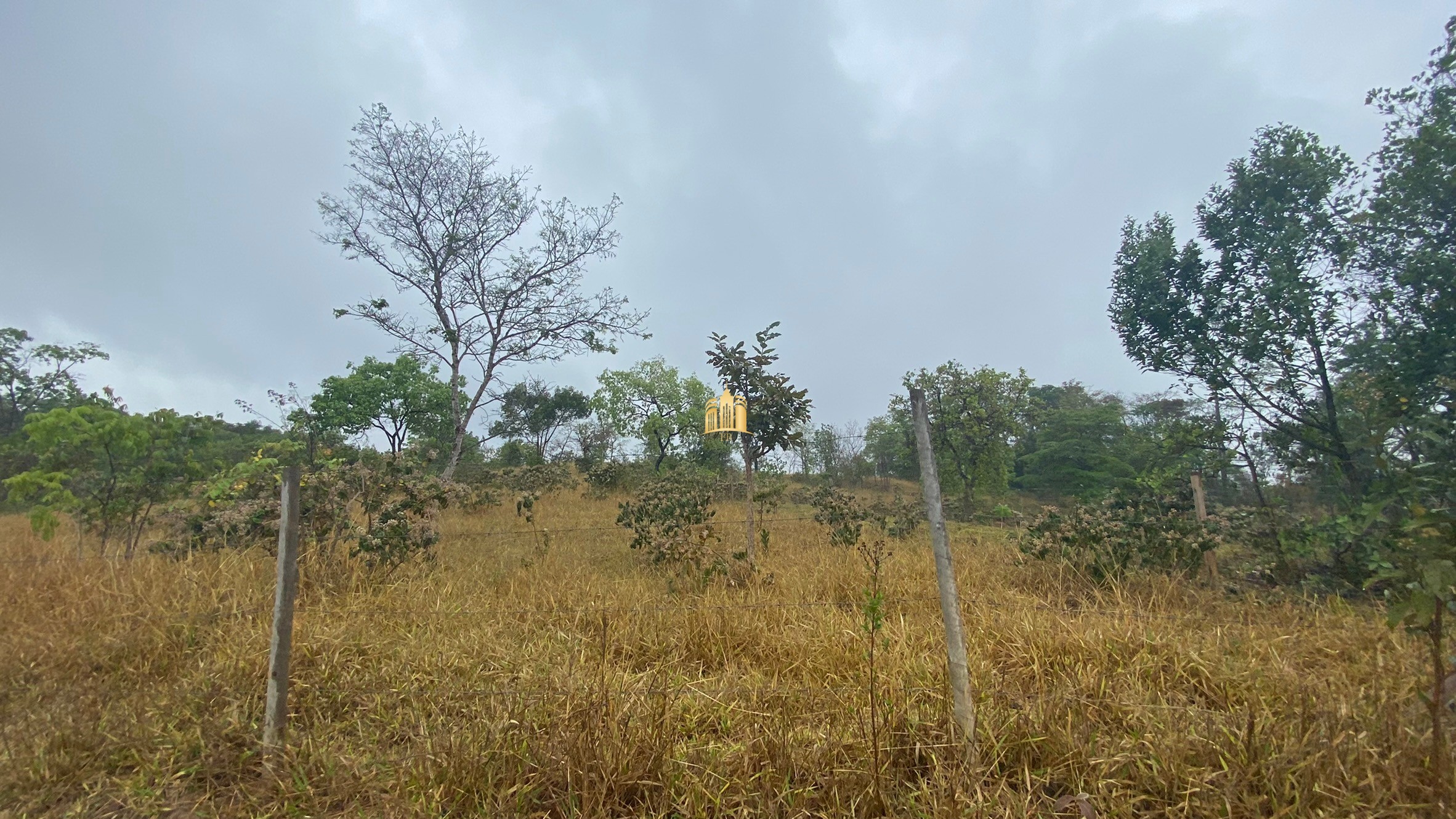 Fazenda à venda com 3 quartos, 800000m² - Foto 15