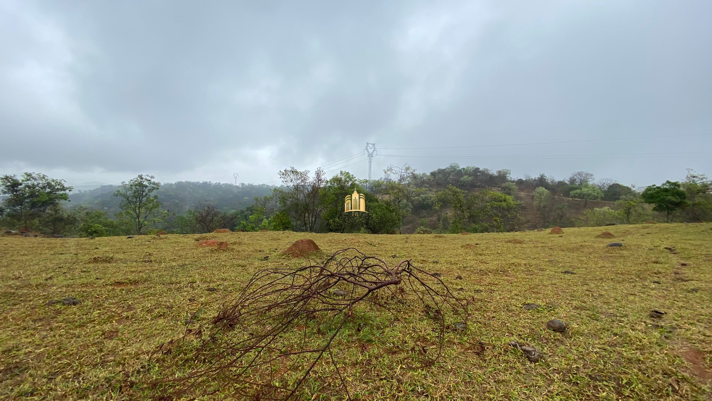 Fazenda à venda com 3 quartos, 800000m² - Foto 49