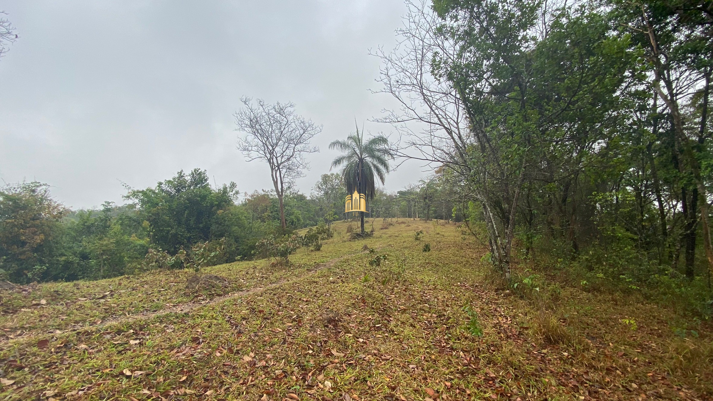 Fazenda à venda com 3 quartos, 800000m² - Foto 83