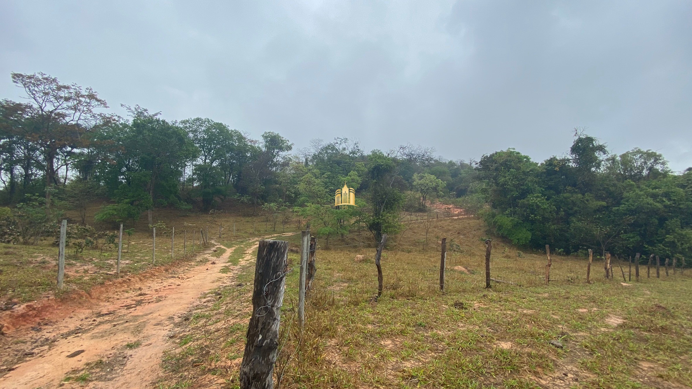 Fazenda à venda com 3 quartos, 800000m² - Foto 72