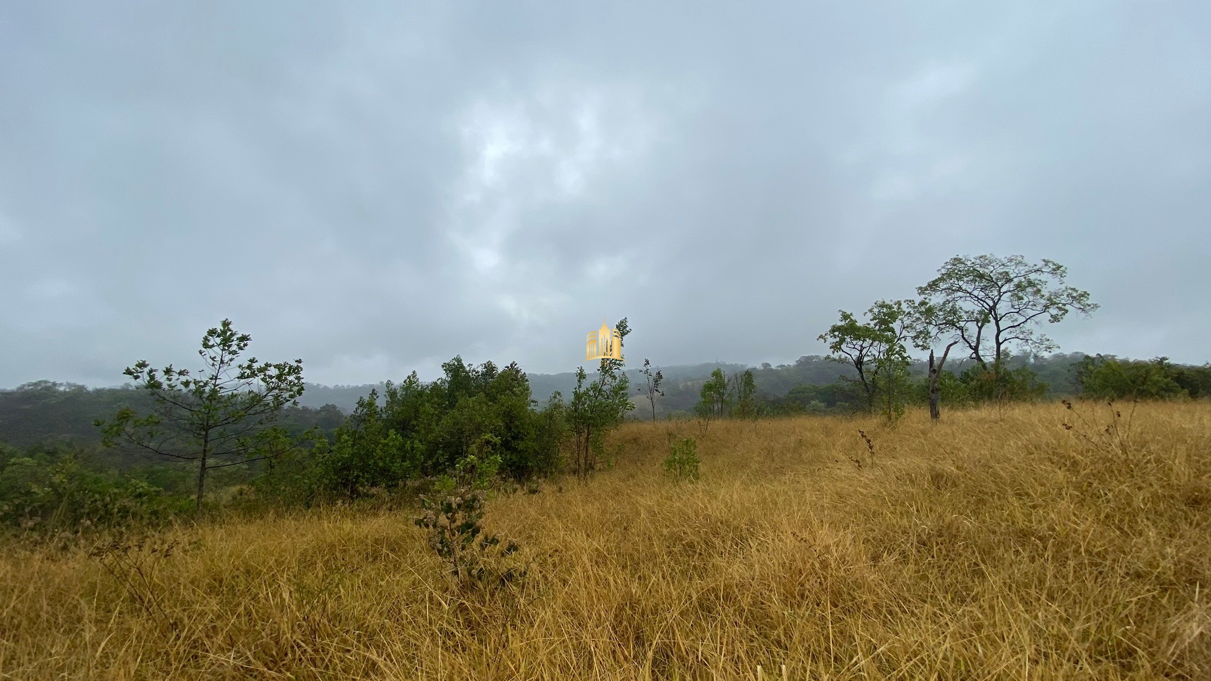 Fazenda à venda com 3 quartos, 800000m² - Foto 61