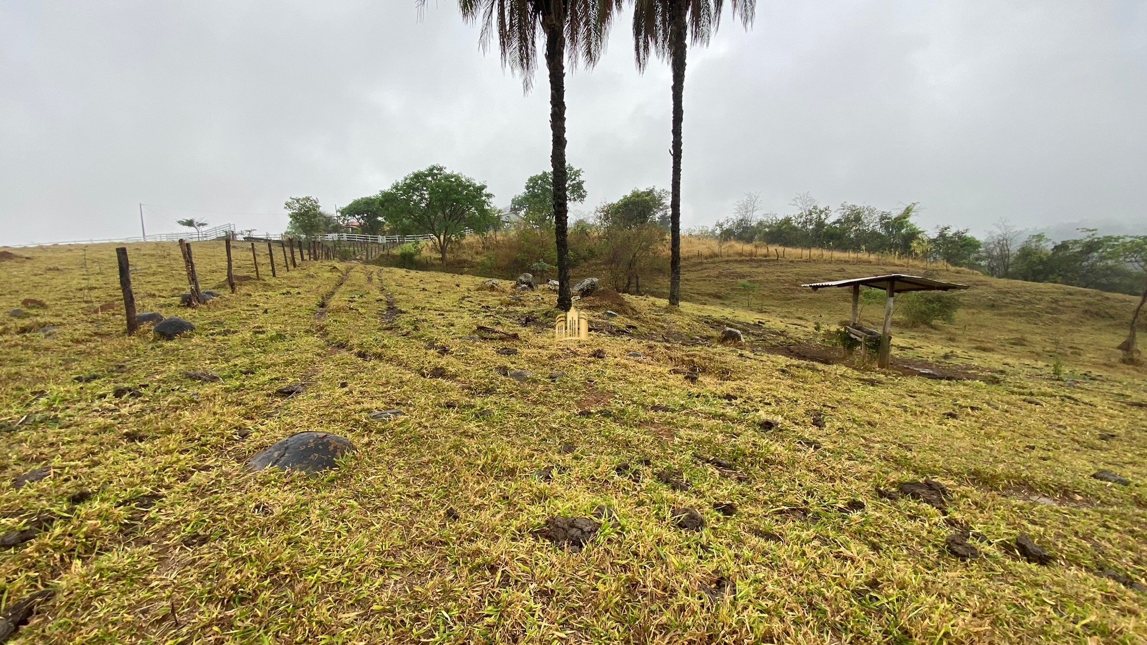 Fazenda à venda com 3 quartos, 800000m² - Foto 7