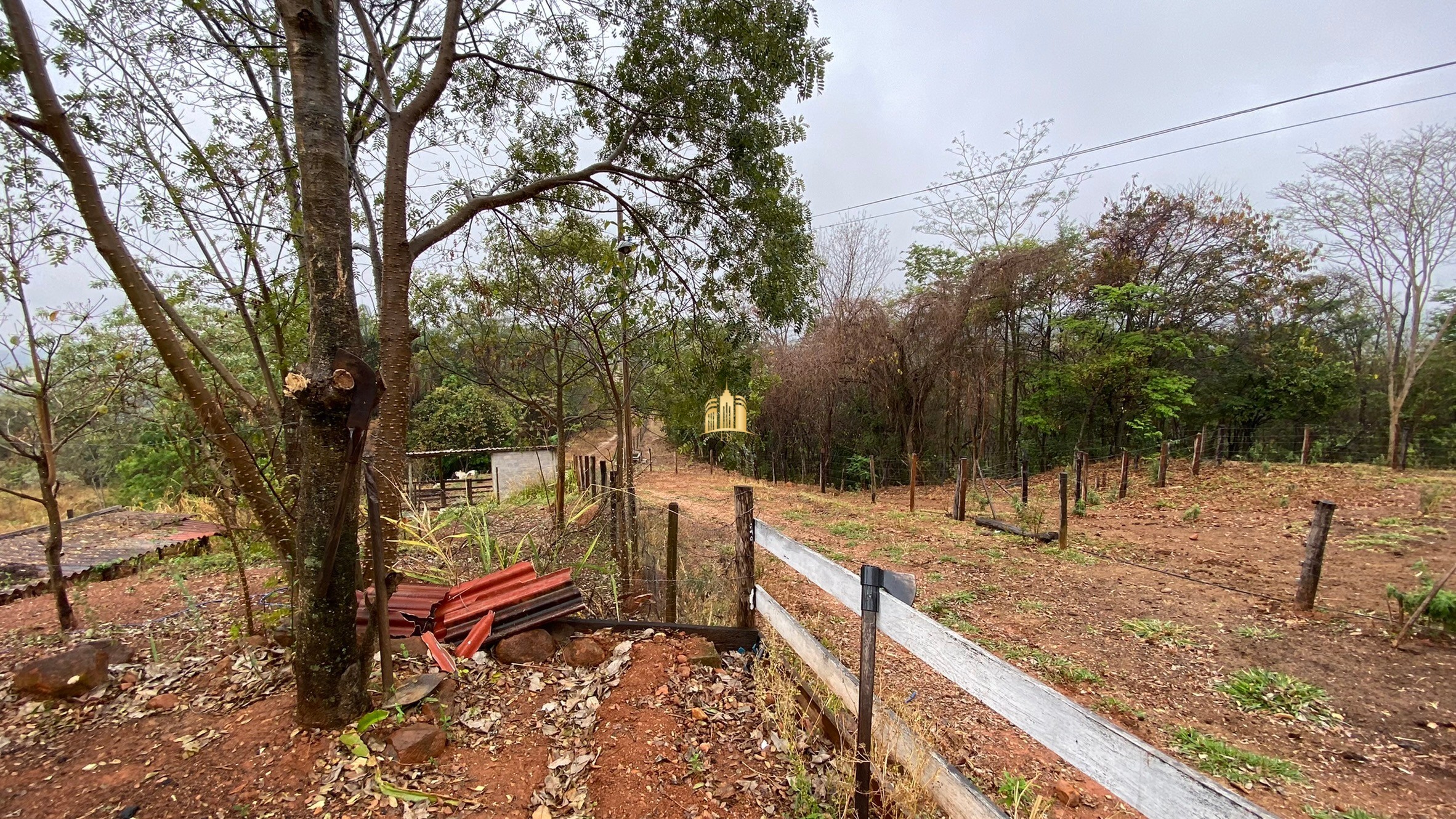 Fazenda à venda com 3 quartos, 800000m² - Foto 5