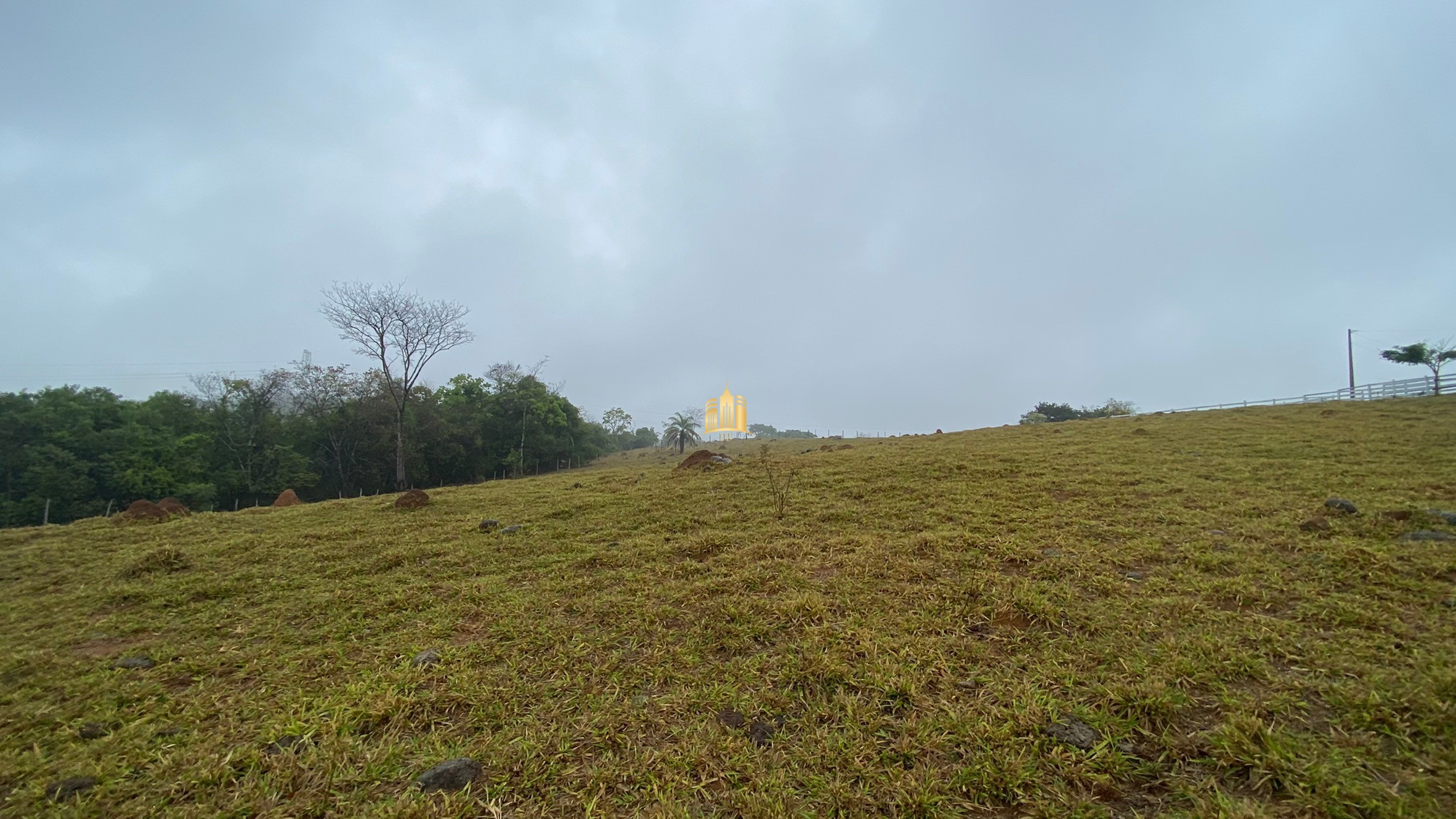 Fazenda à venda com 3 quartos, 800000m² - Foto 54