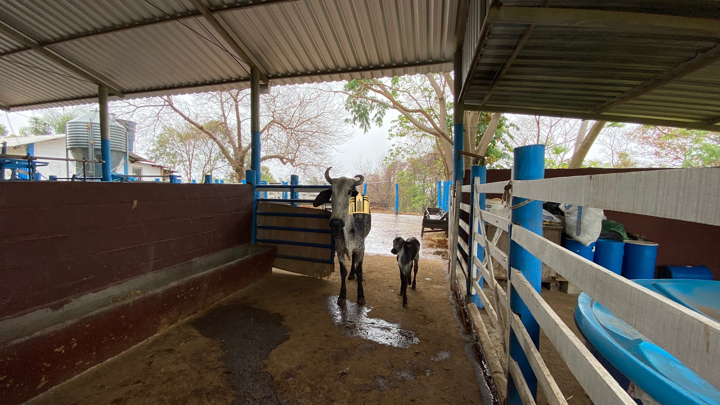 Fazenda à venda com 3 quartos, 800000m² - Foto 27