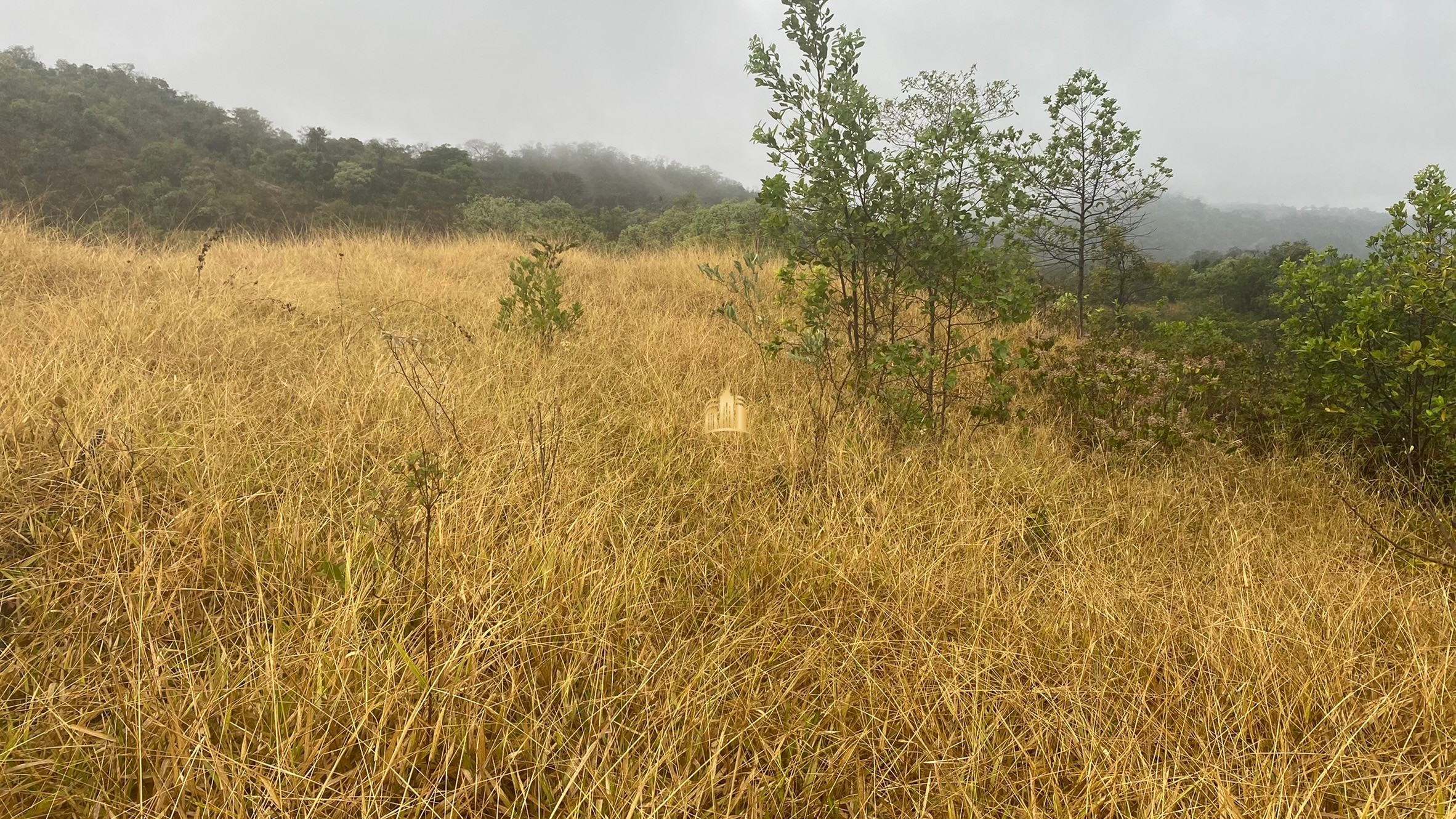 Fazenda à venda com 3 quartos, 800000m² - Foto 107