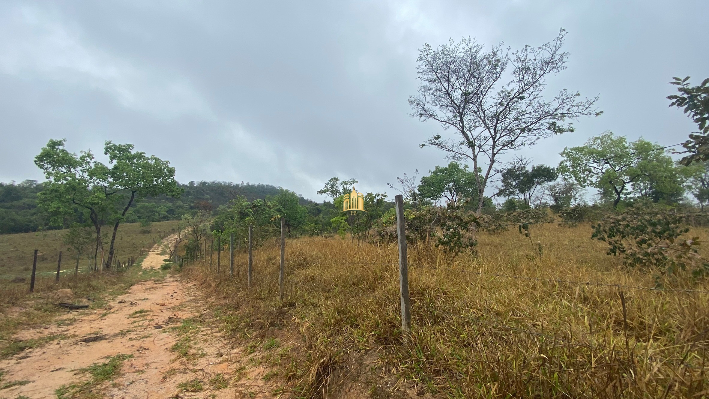 Fazenda à venda com 3 quartos, 800000m² - Foto 16