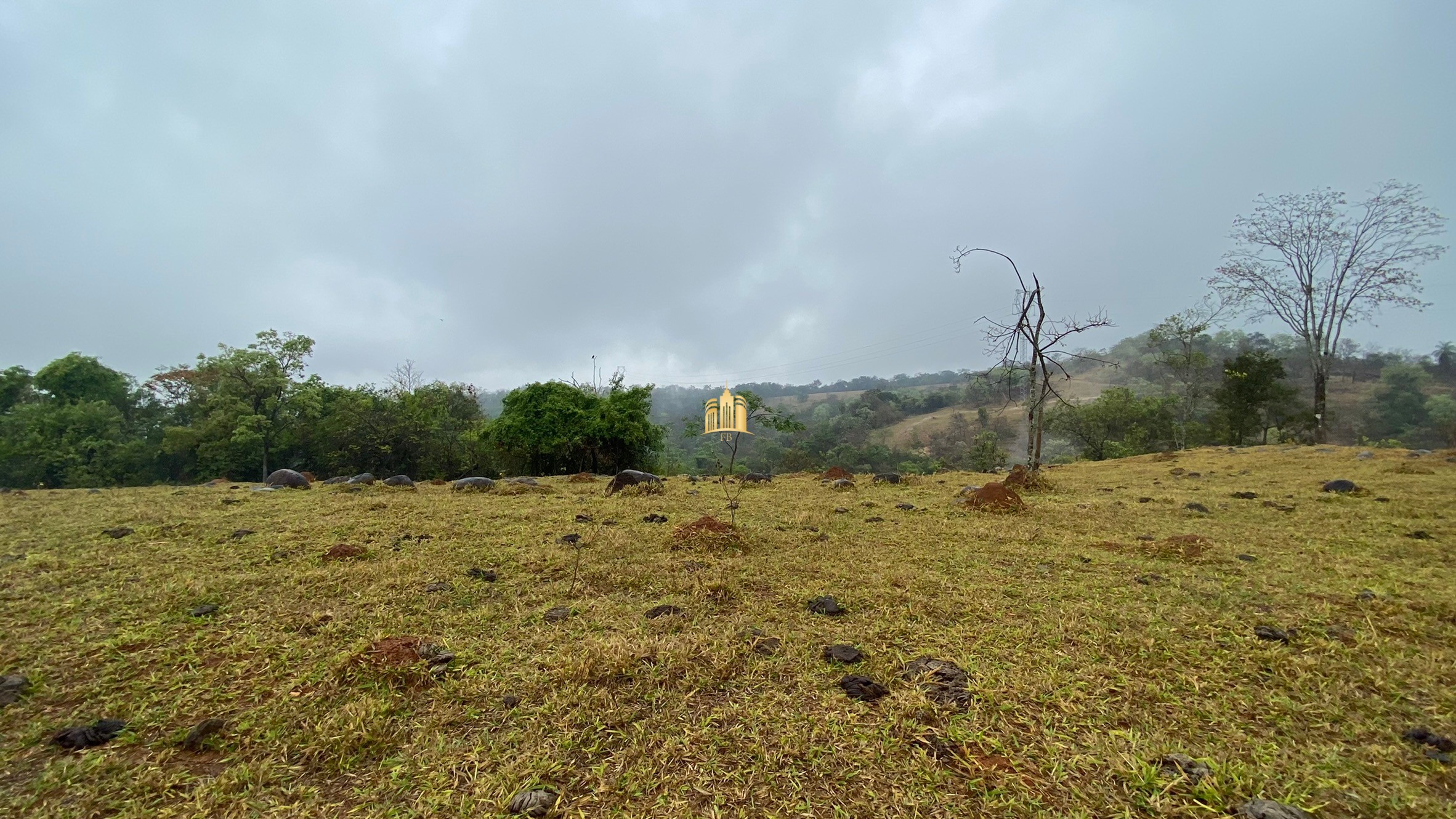 Fazenda à venda com 3 quartos, 800000m² - Foto 75