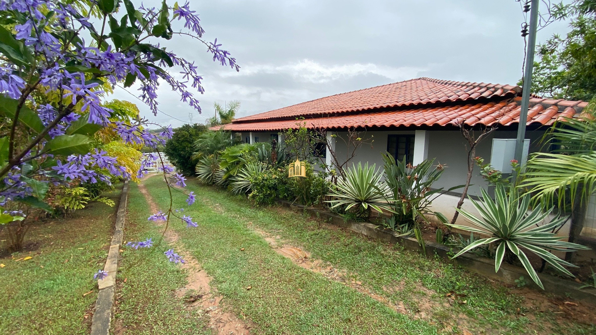 Fazenda à venda com 3 quartos, 800000m² - Foto 3