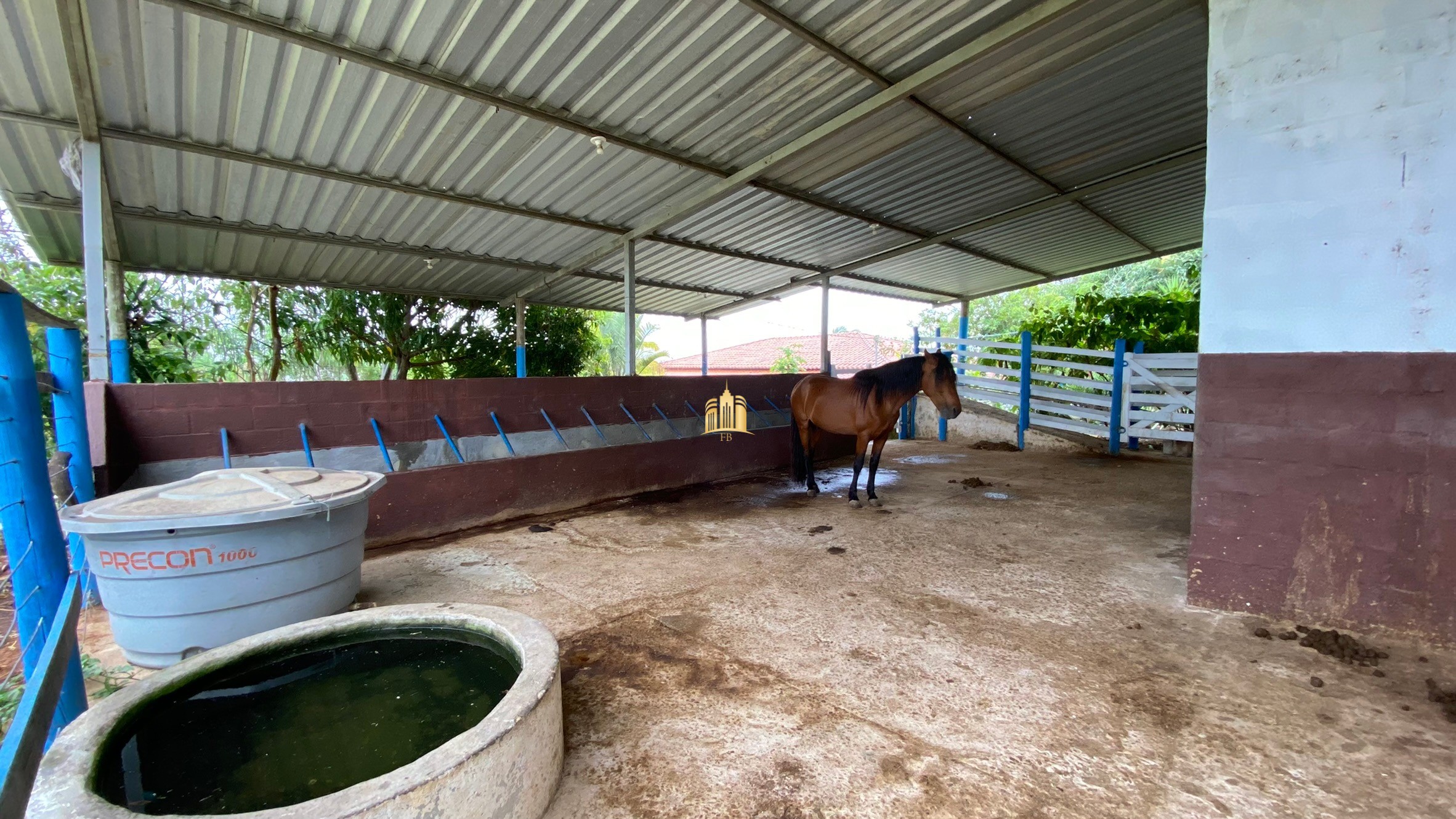 Fazenda à venda com 3 quartos, 800000m² - Foto 40